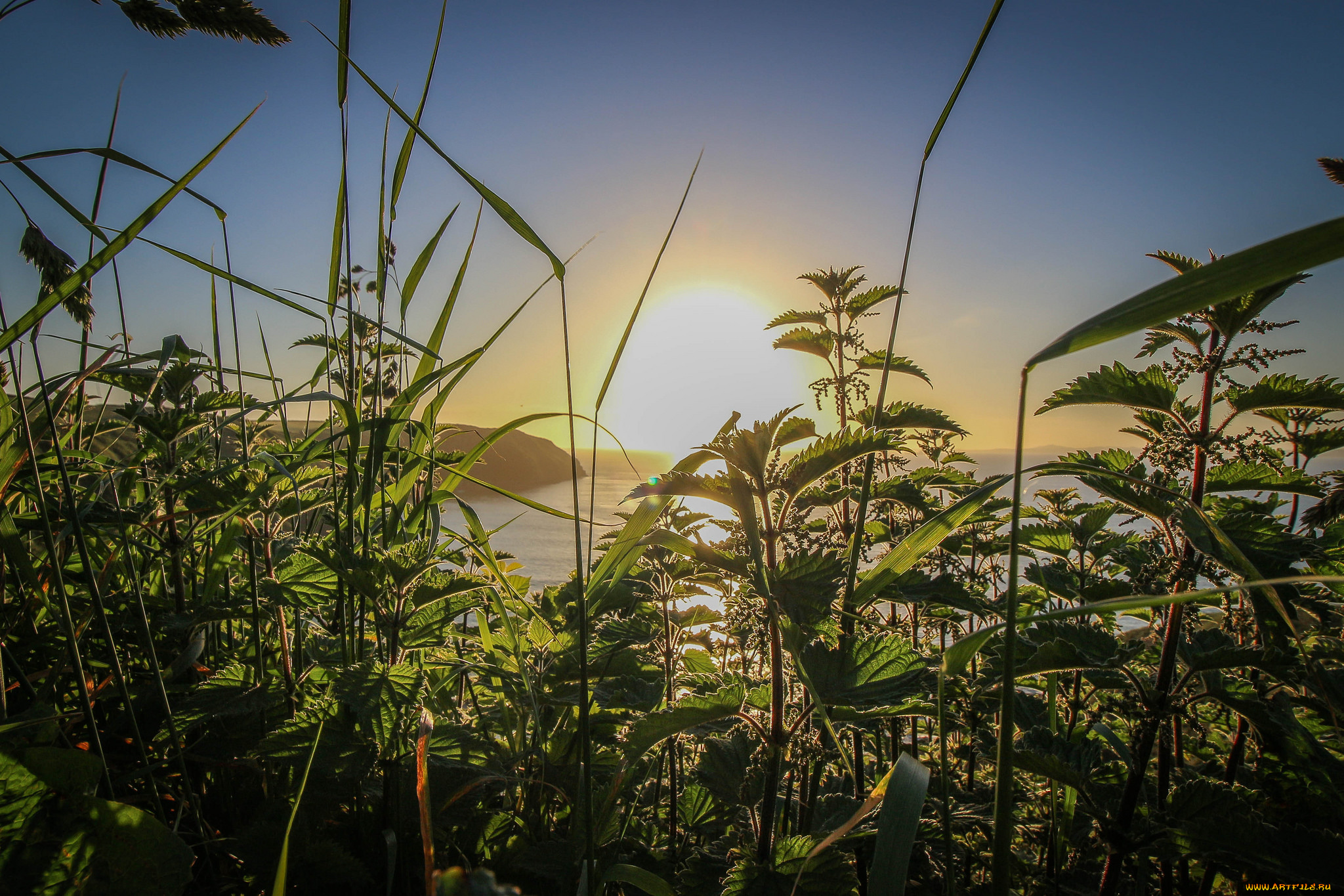 природа, восходы, закаты, рассвет