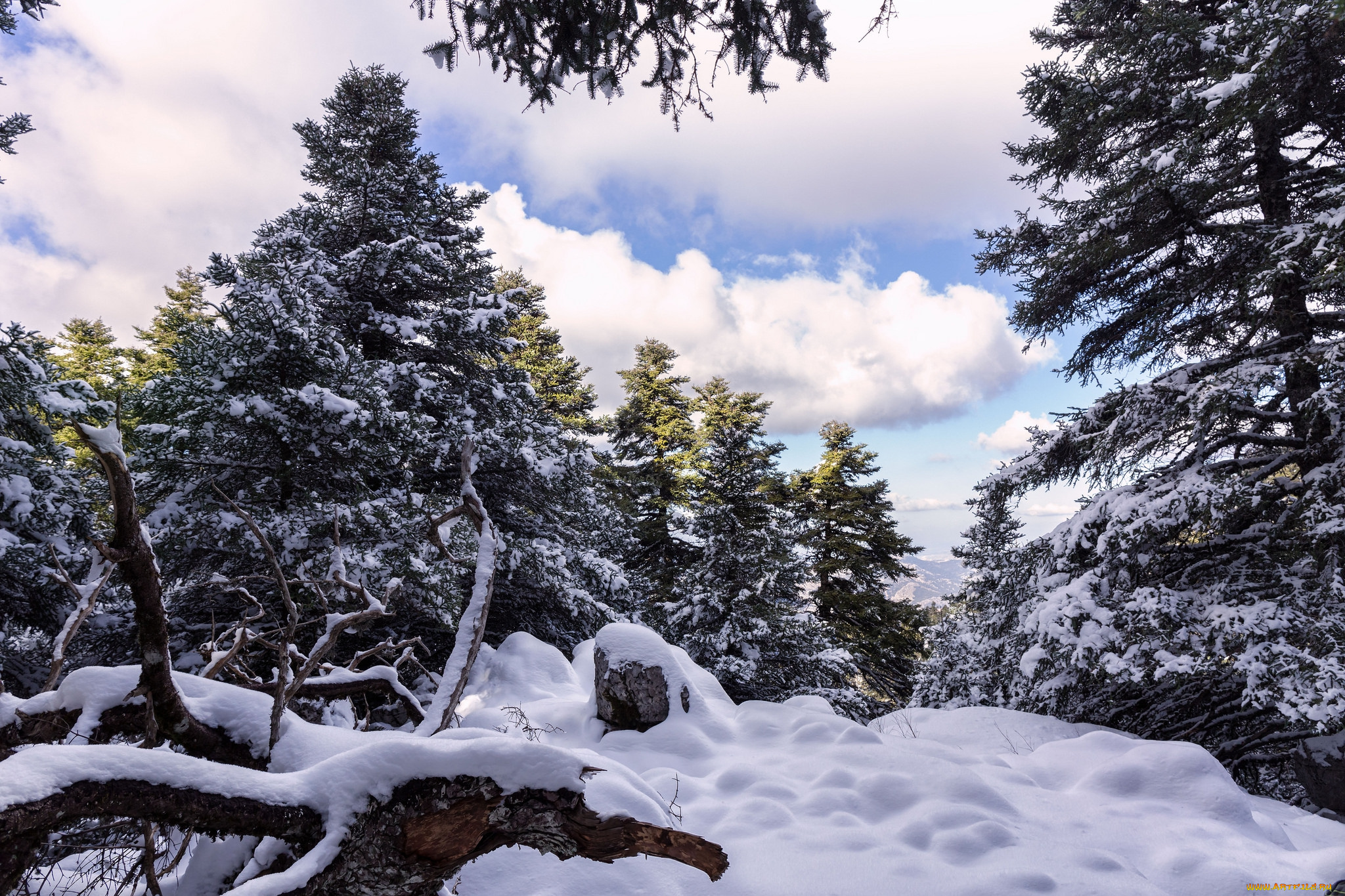 природа, зима, снег