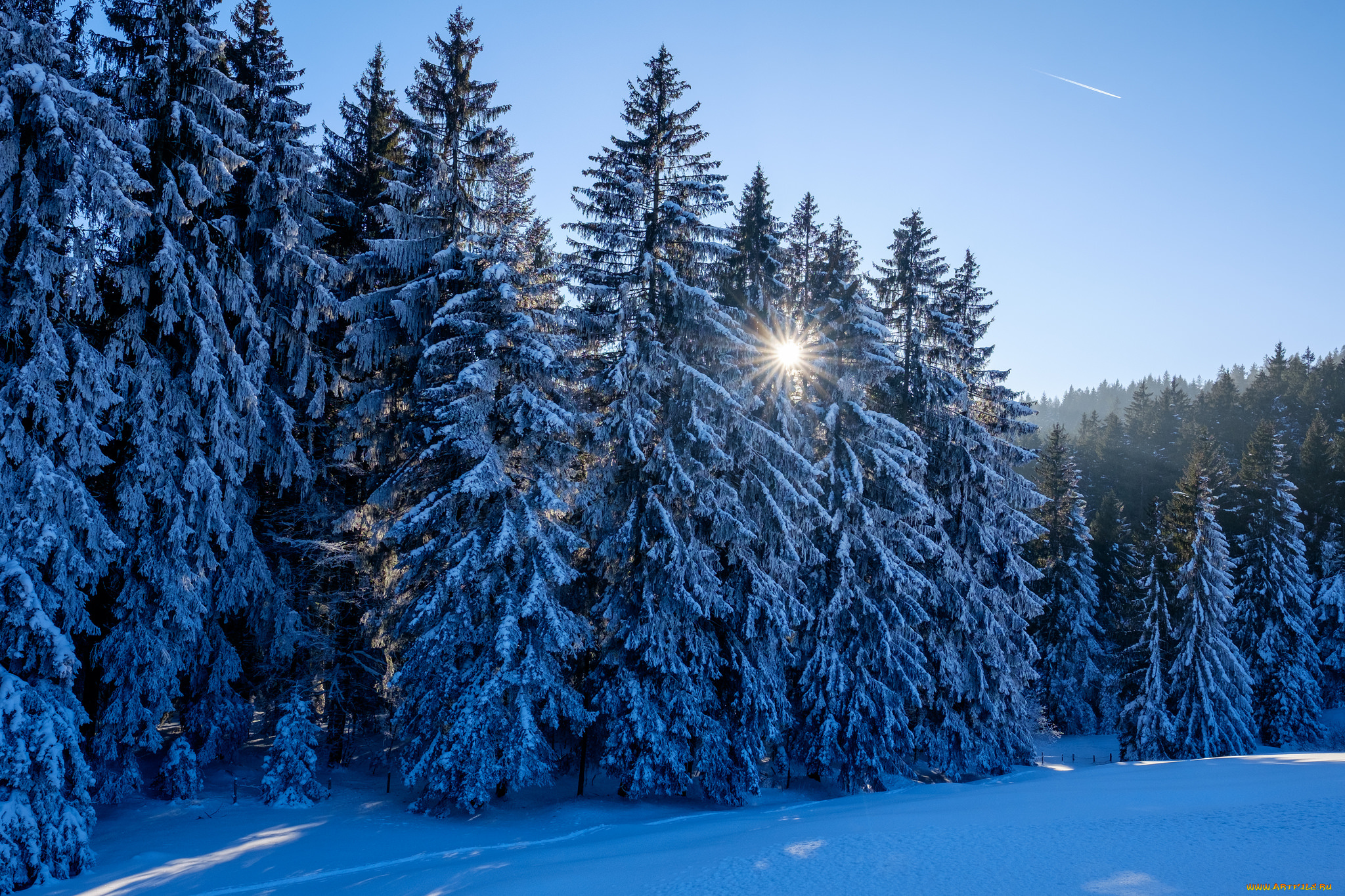 природа, зима, снег