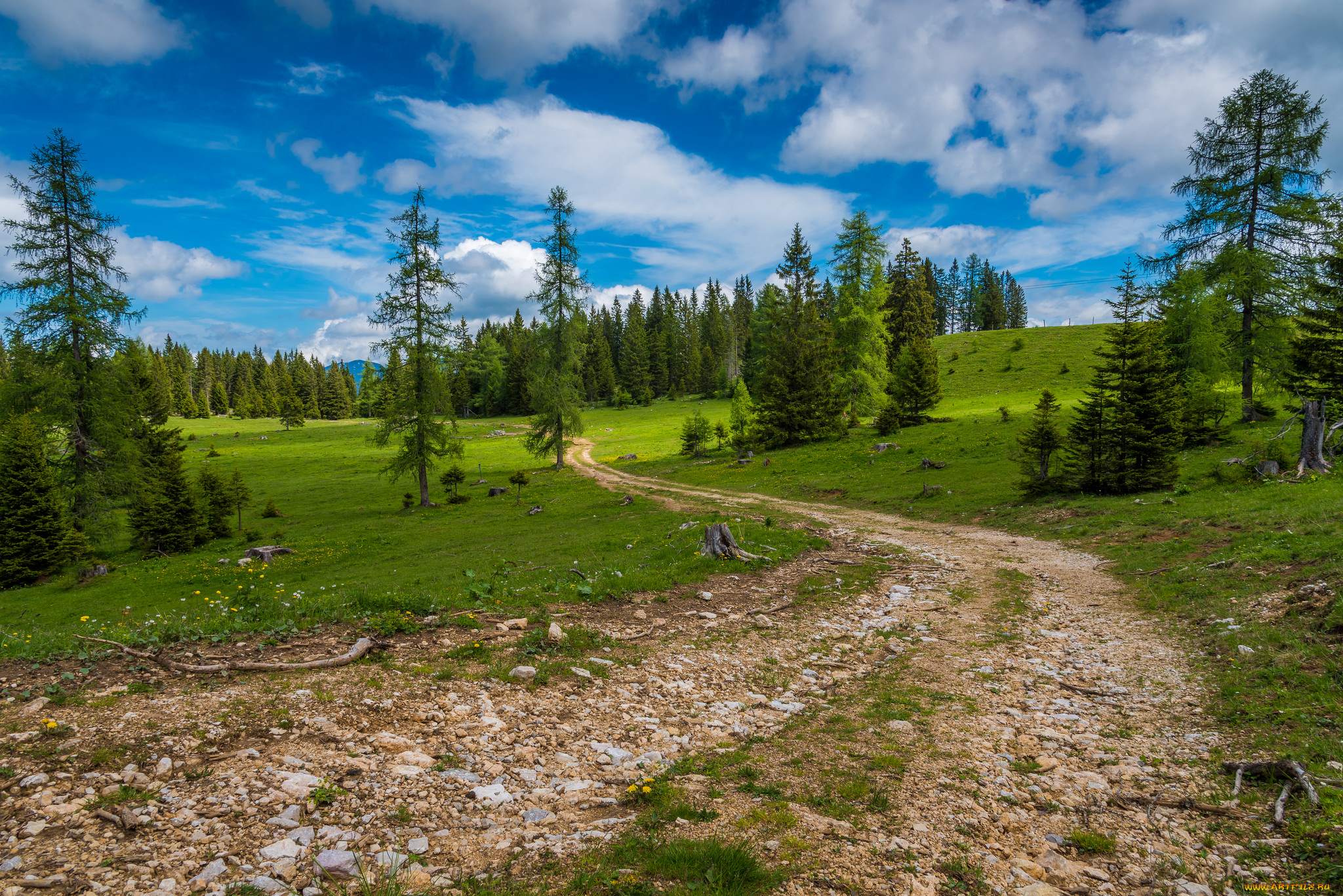 природа, дороги, тракт