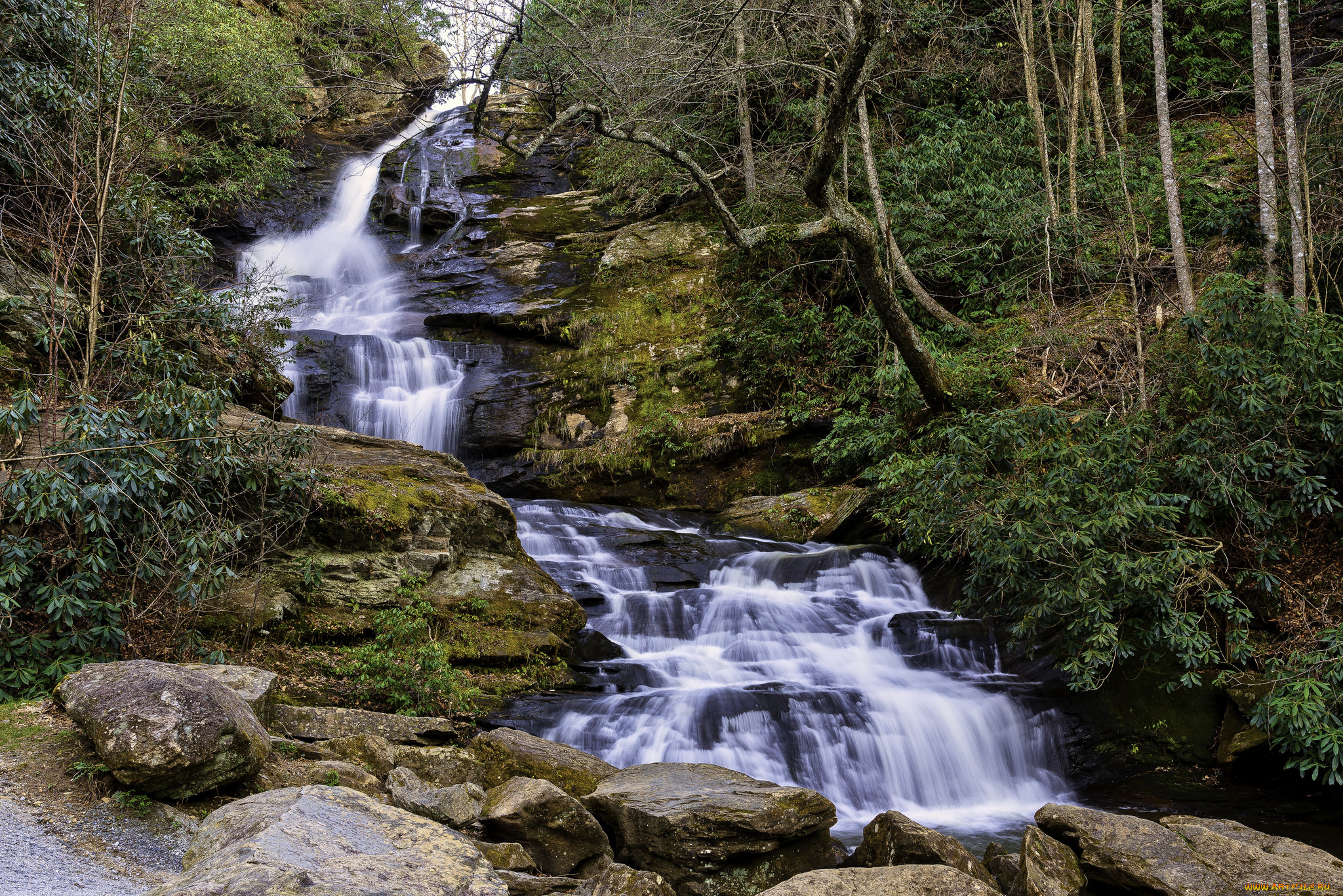 природа, водопады, река, лес, водопад