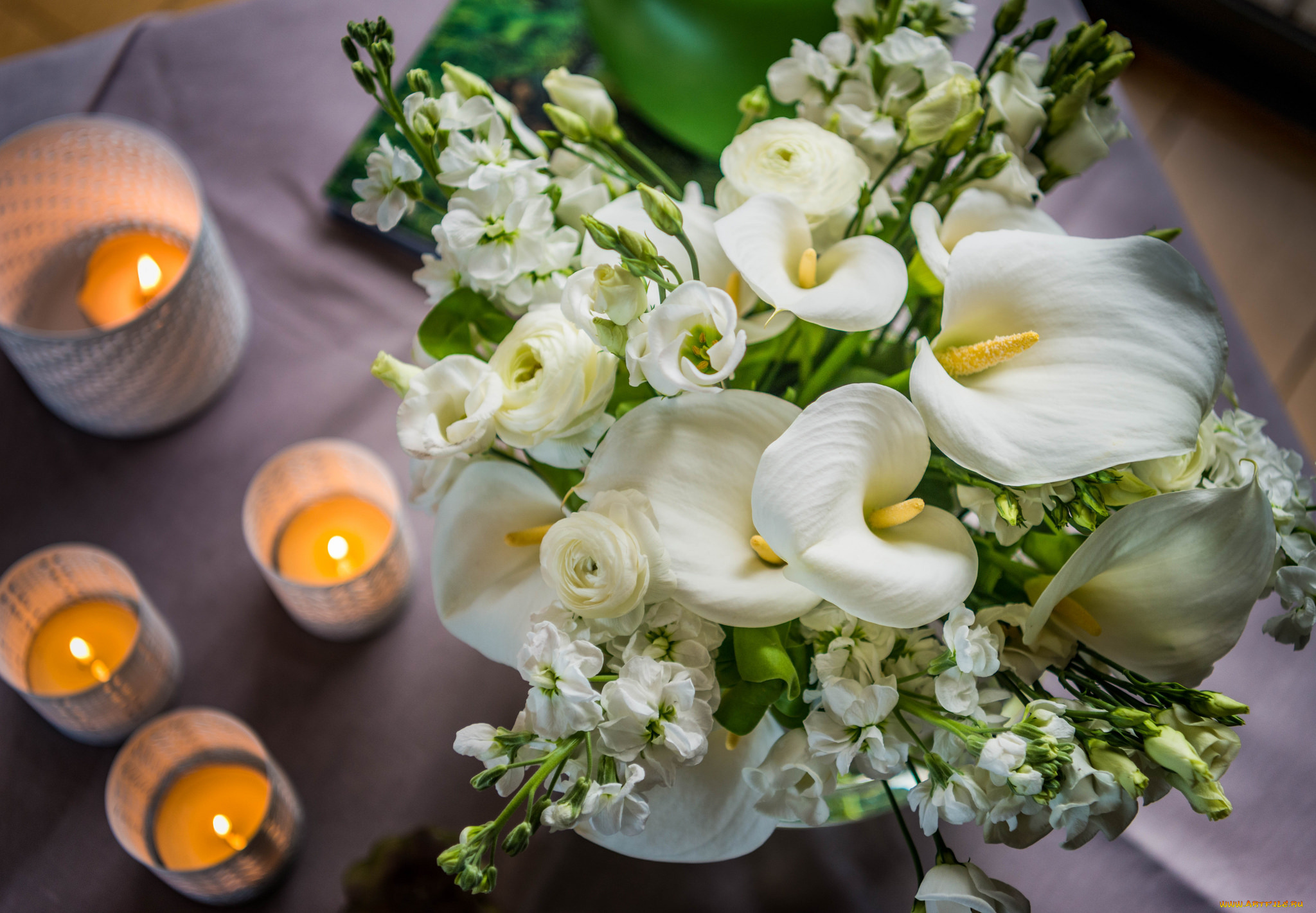 цветы, каллы, цветок