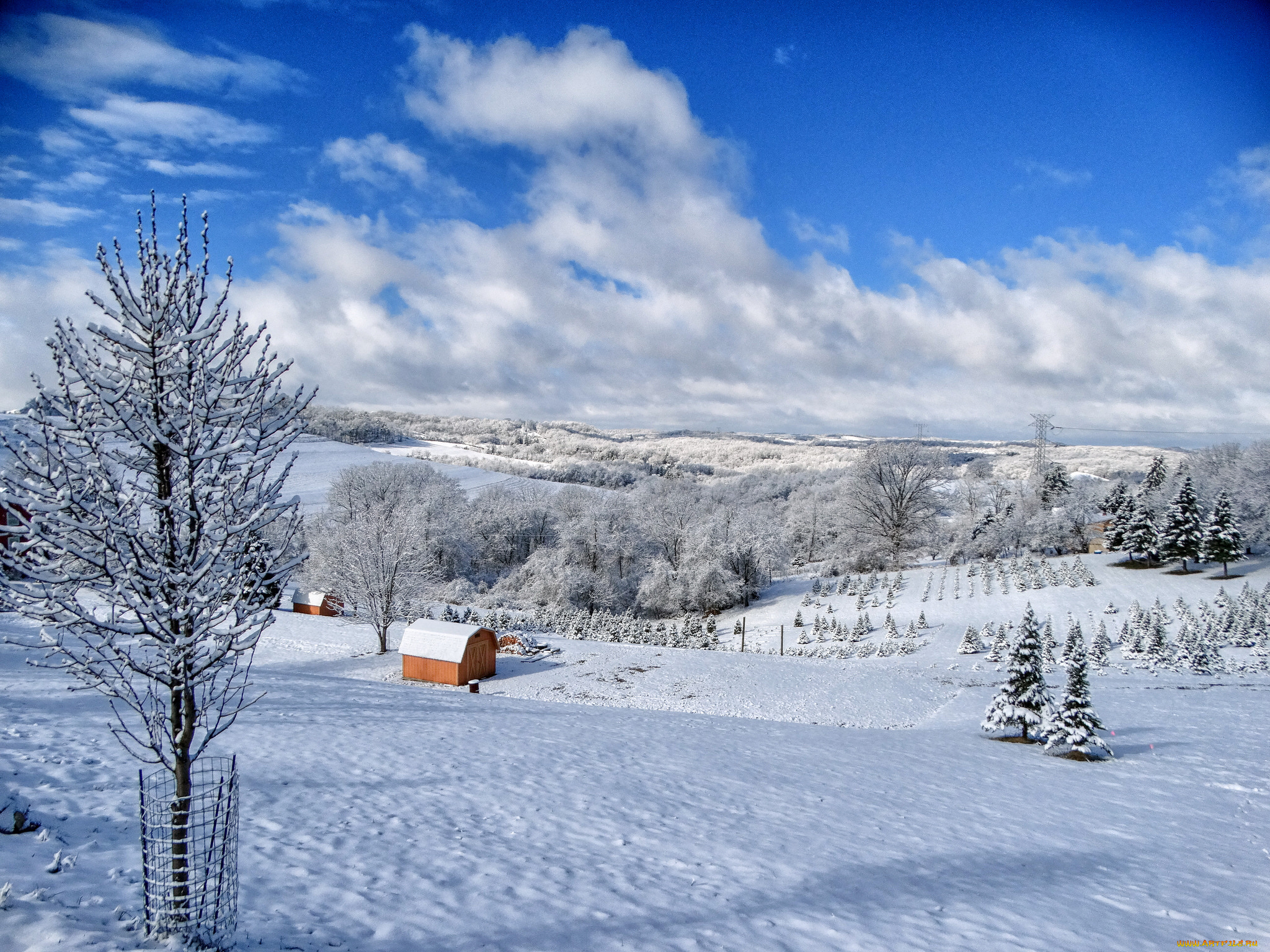 природа, зима, снег