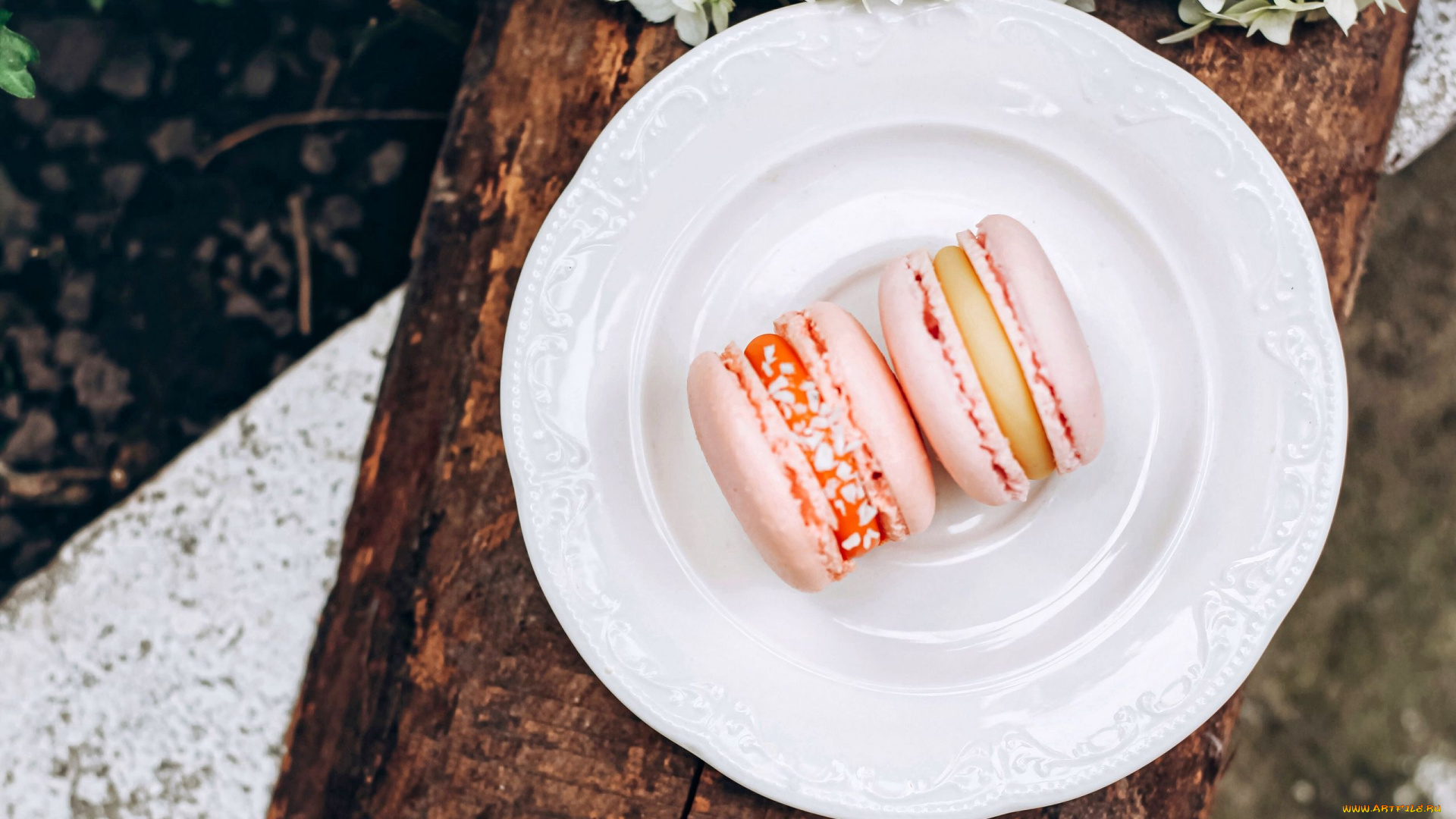 еда, макаруны, лакомство, печенье