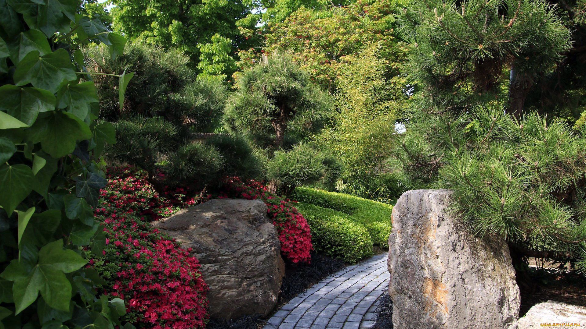 природа, парк, дорожка, камни, цветы