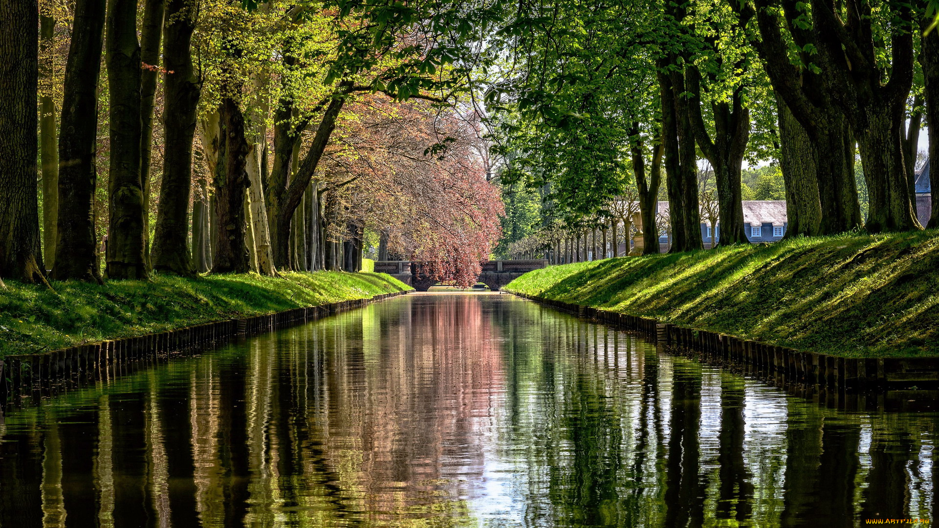 природа, парк, водоем, деревья, весна