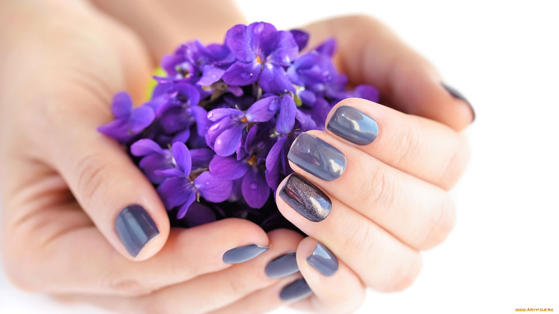 разное, руки, , ноги, женские, маникюр, фиалки
