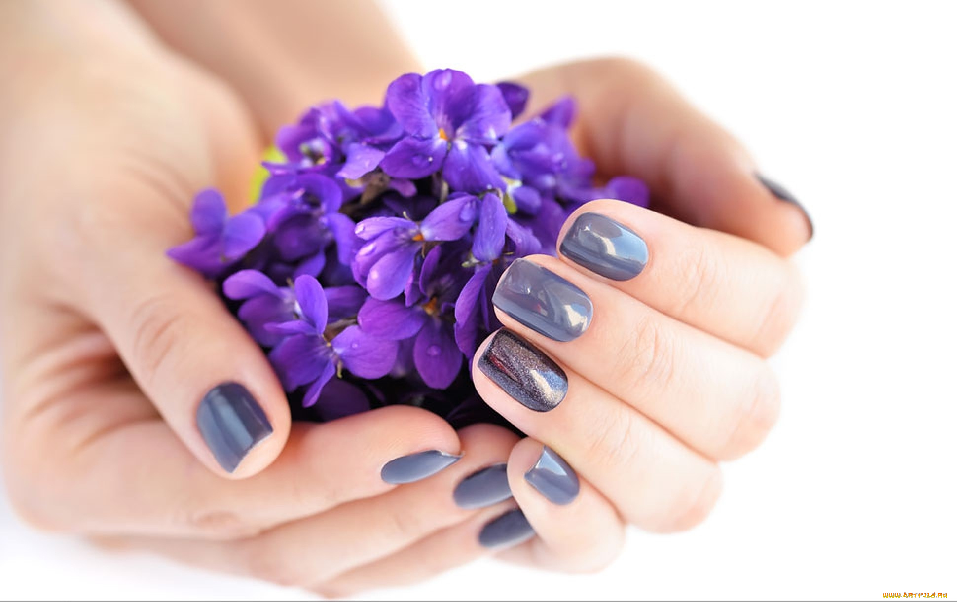 разное, руки, , ноги, женские, маникюр, фиалки