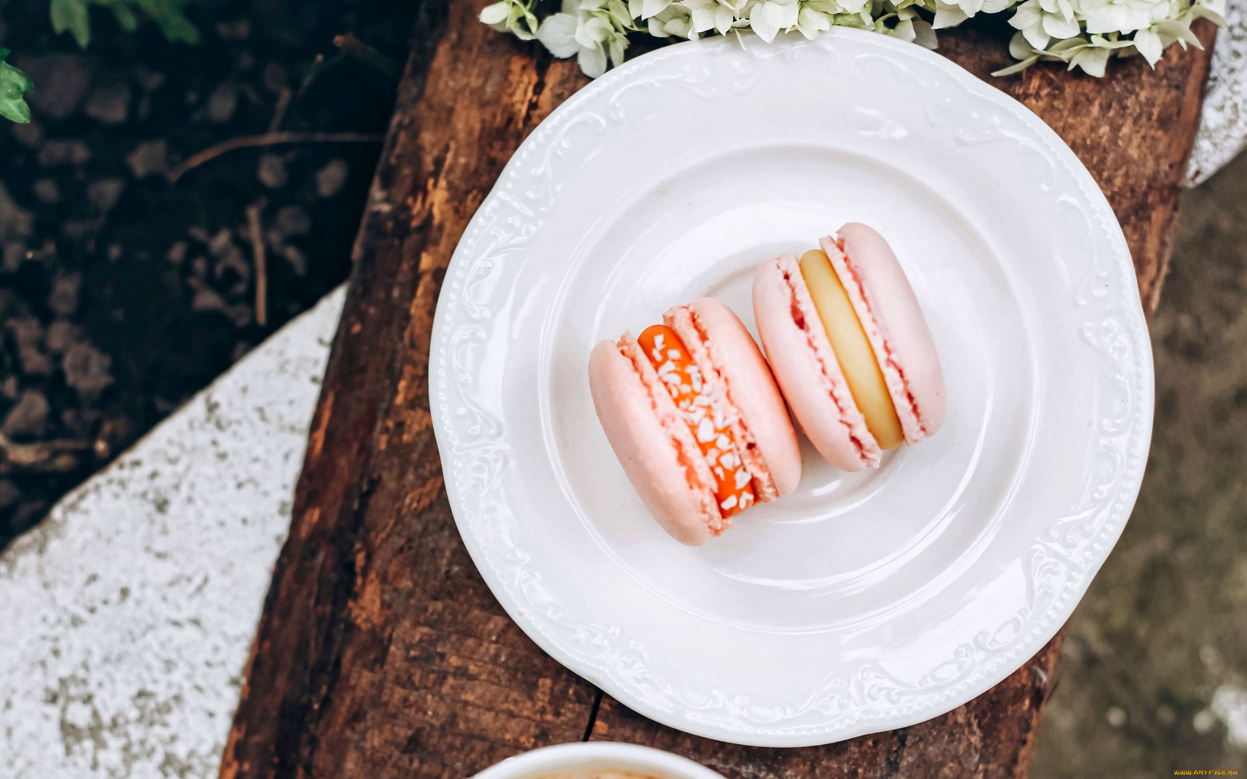 еда, макаруны, лакомство, печенье