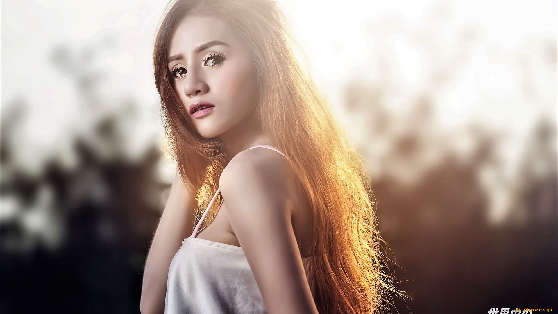 девушки, -, азиатки, шатенка, топ