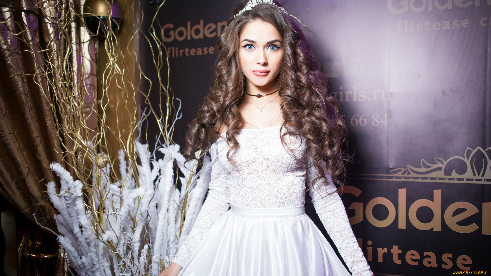 девушки, -, брюнетки, , шатенки, golden, girls, ночной, клуб, модель