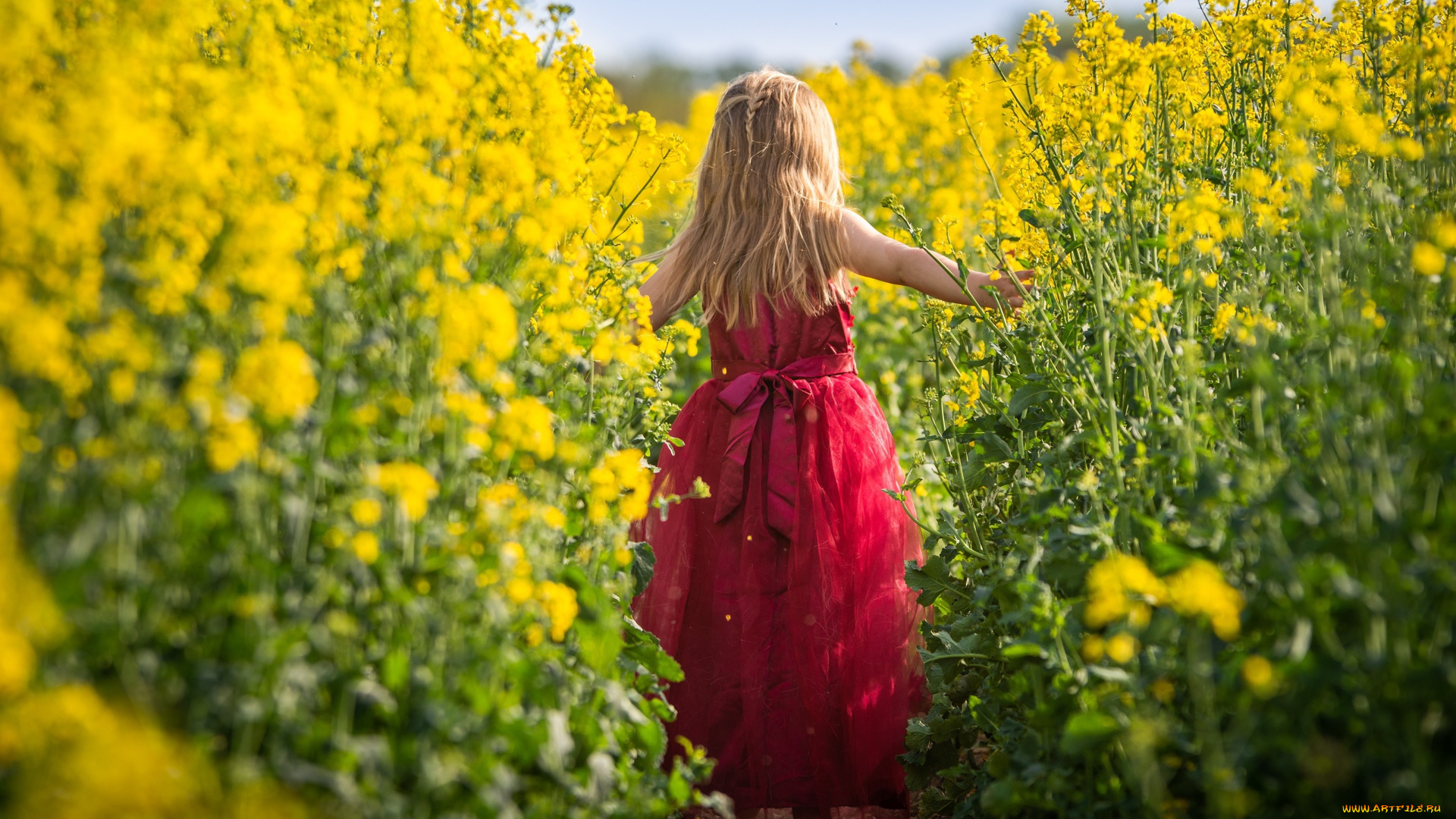 разное, дети, девочка, поле, тропинка