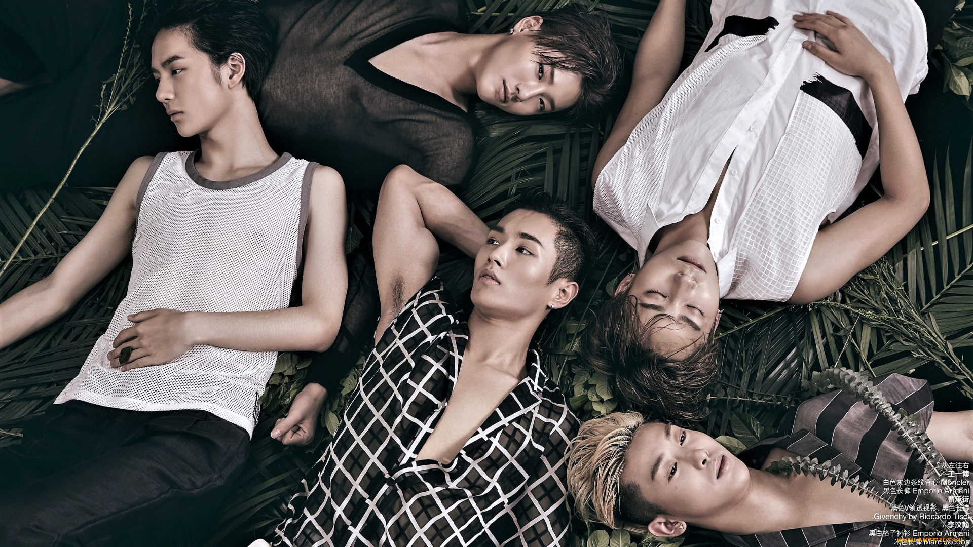 uniq, музыка, -другое, парни, группа, рубашки, листья