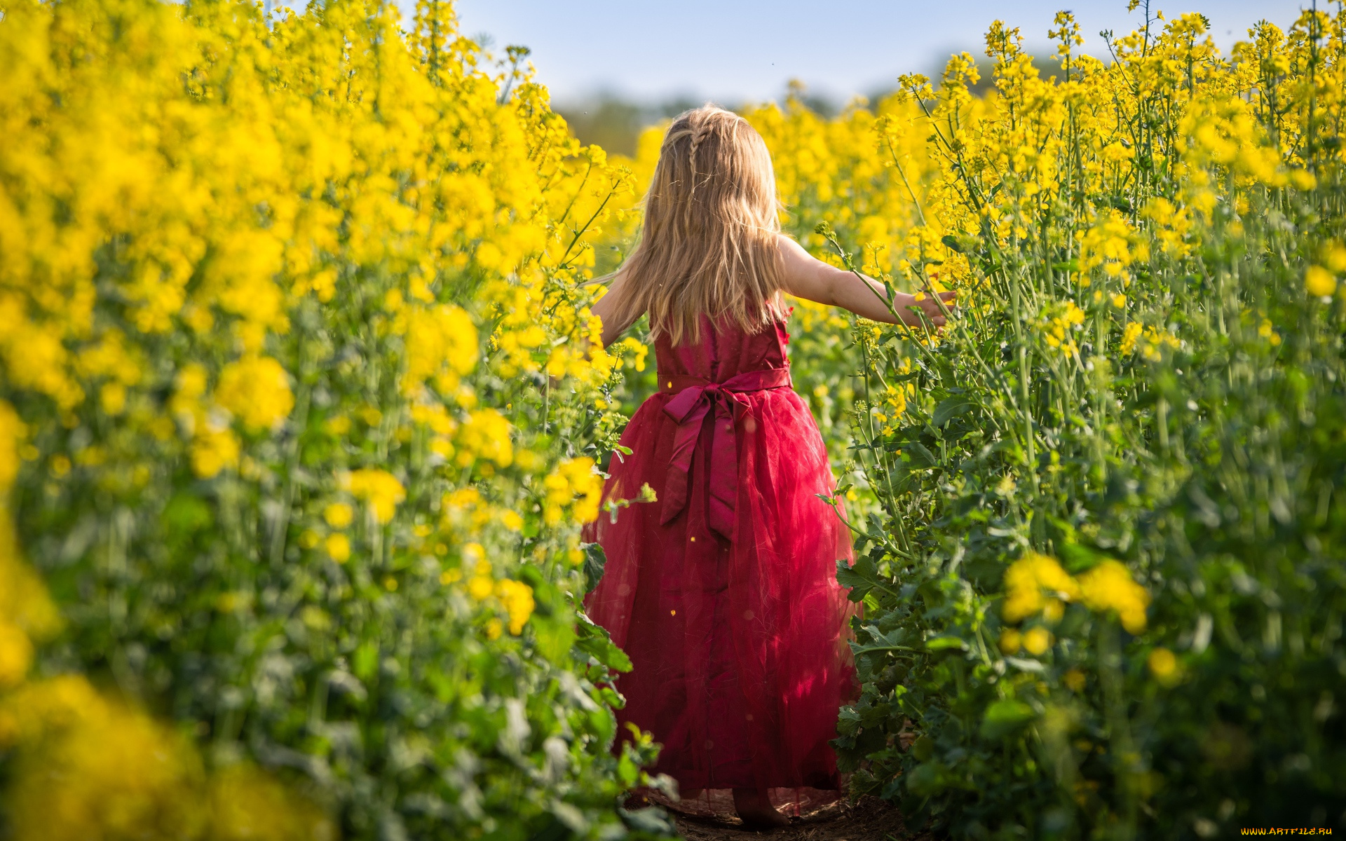 разное, дети, девочка, поле, тропинка