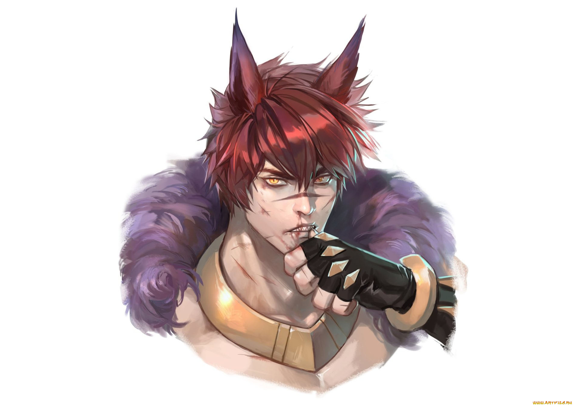 видео, игры, league, of, legends, лицо, ушки, воротник, перчатка, sett