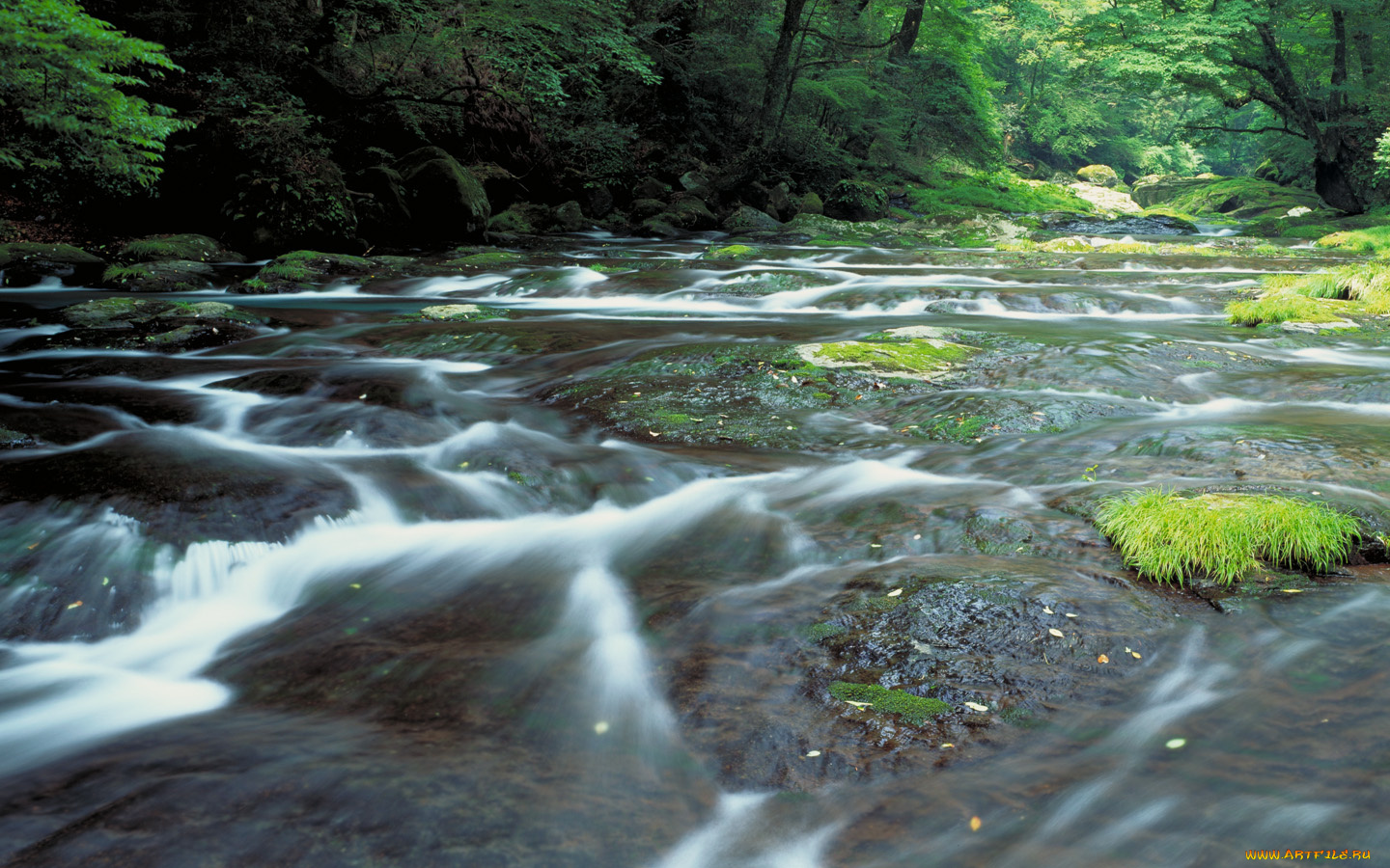 природа, реки, озера