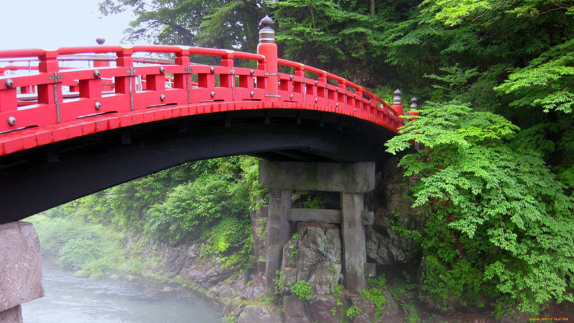 природа, парк