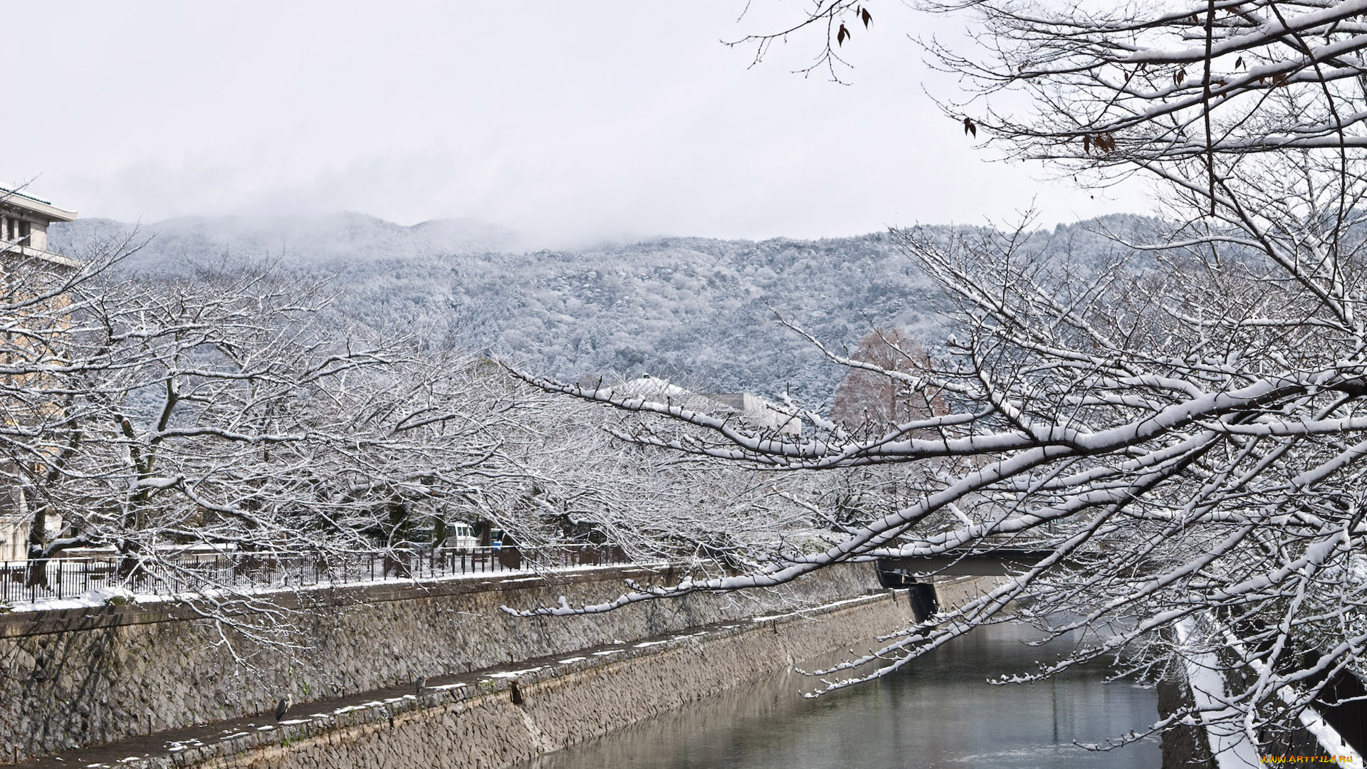 природа, зима