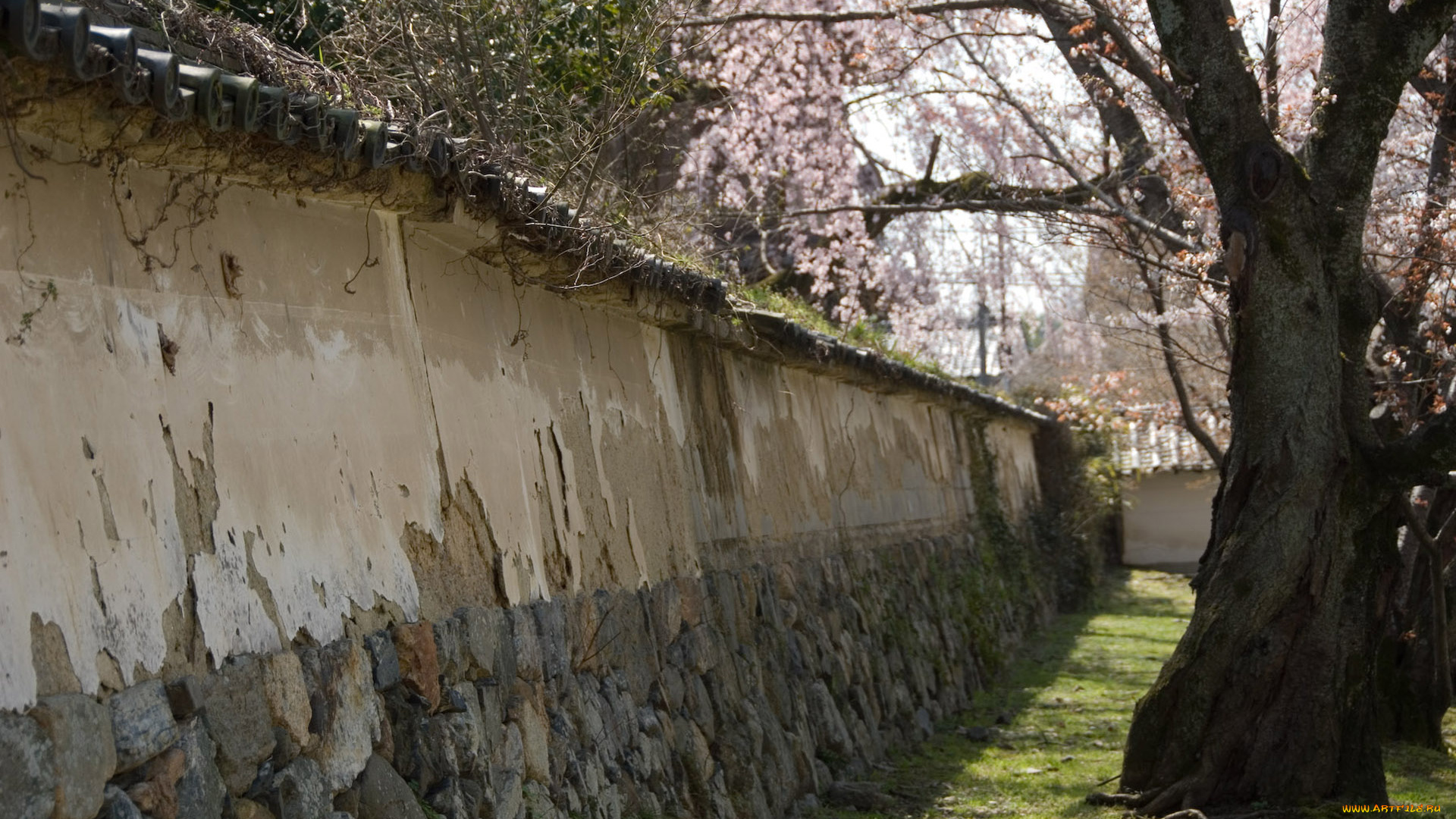 разное, сооружения, постройки