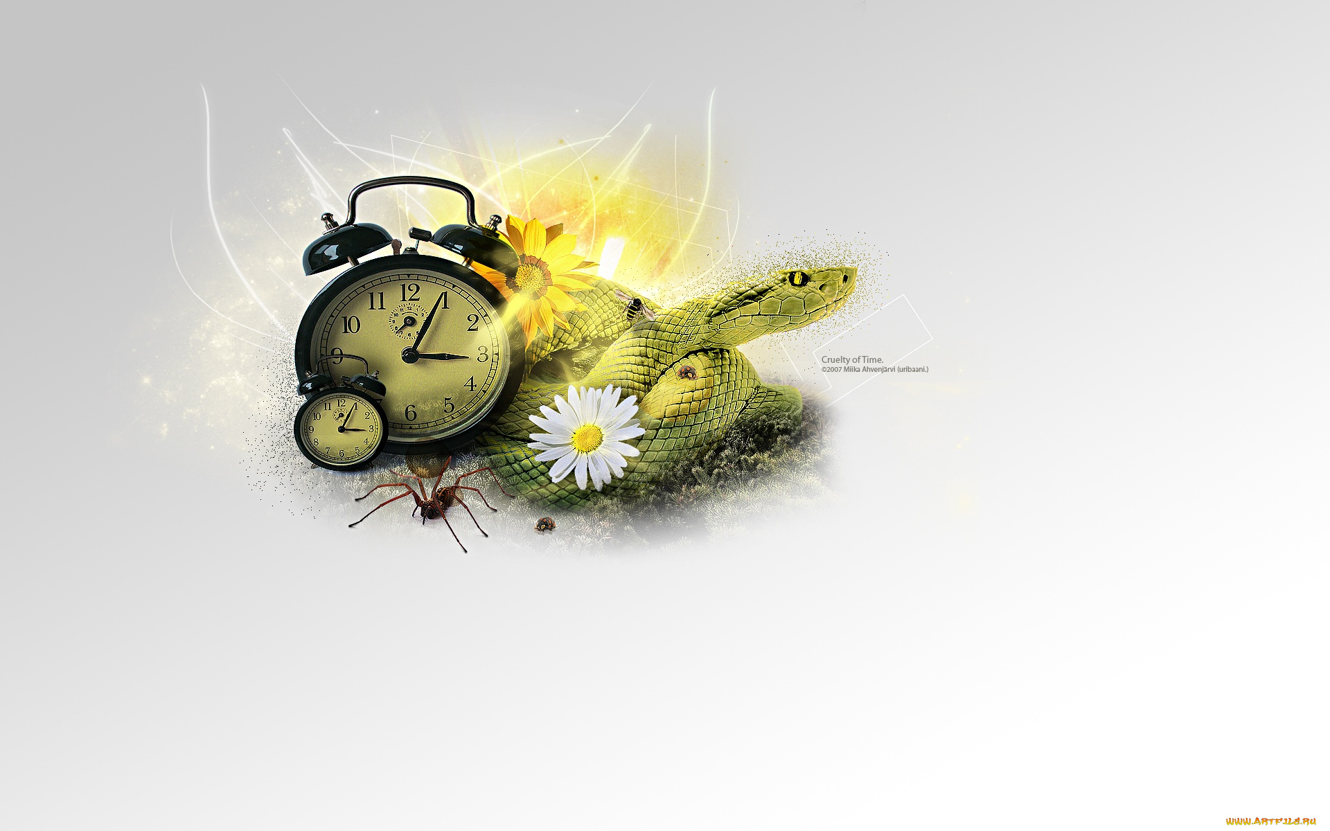 3д, графика, другое, паук, змея, будильник, ромашки