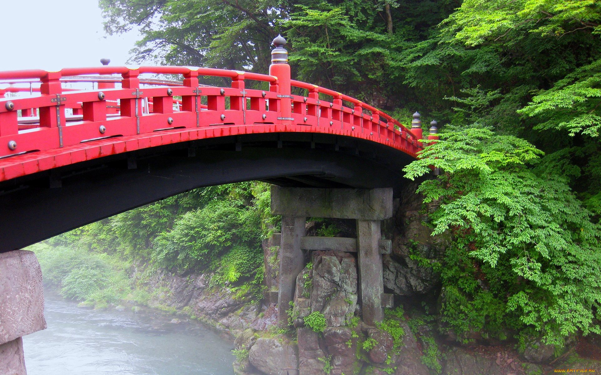 природа, парк