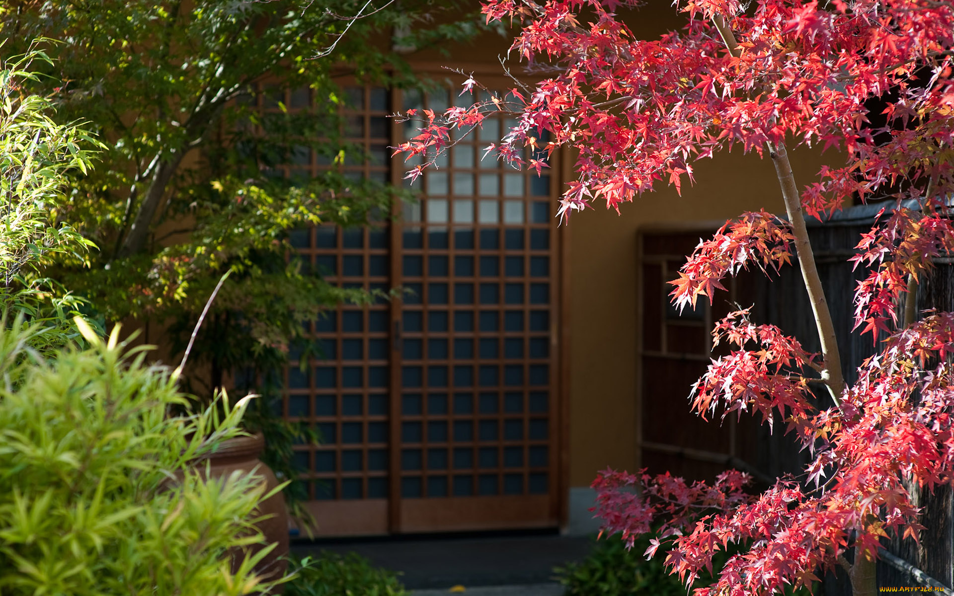 разное, элементы, архитектуры