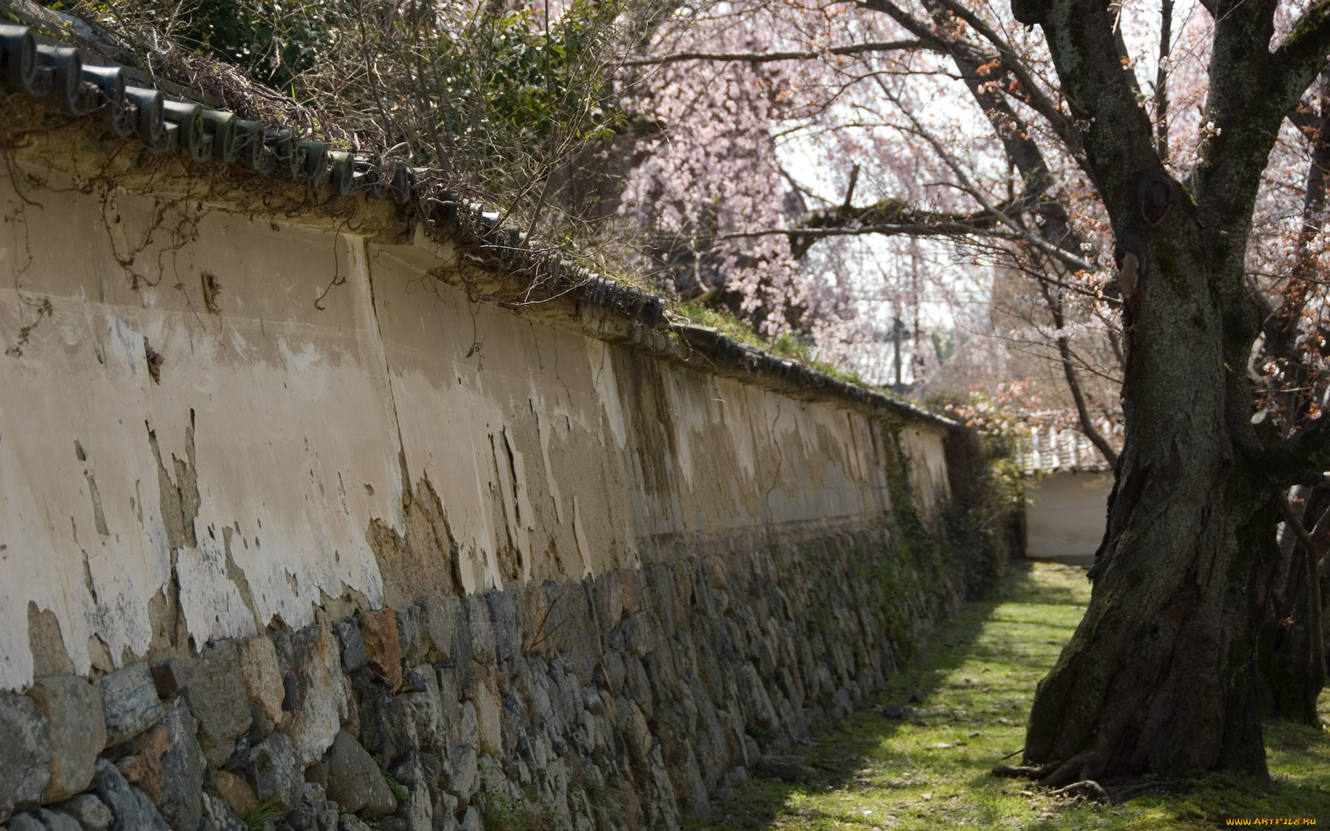 разное, сооружения, постройки