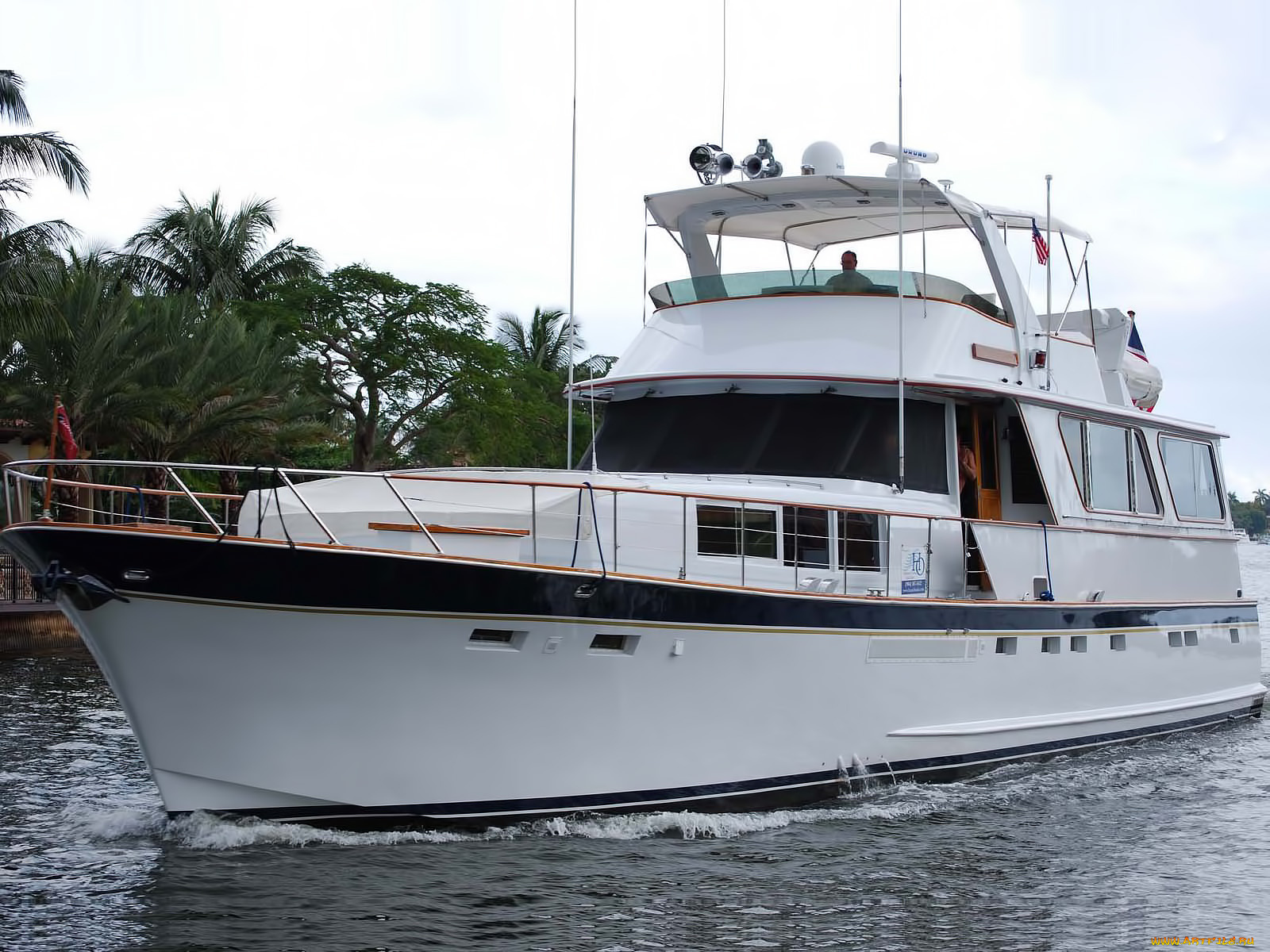 корабли, Яхты