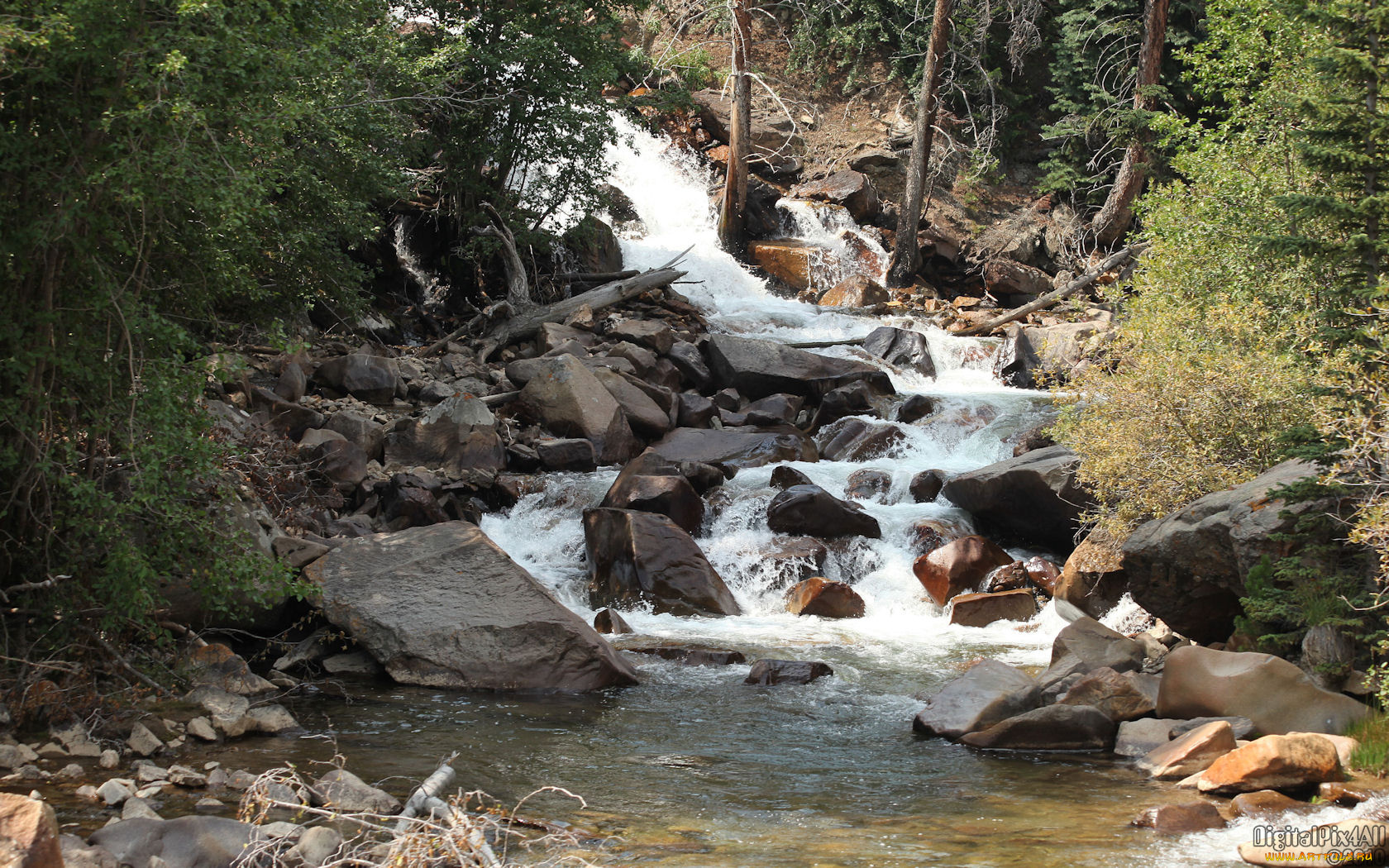 природа, реки, озера