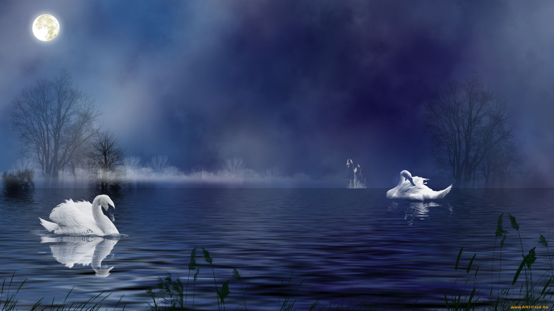 3д, графика, animals, животные