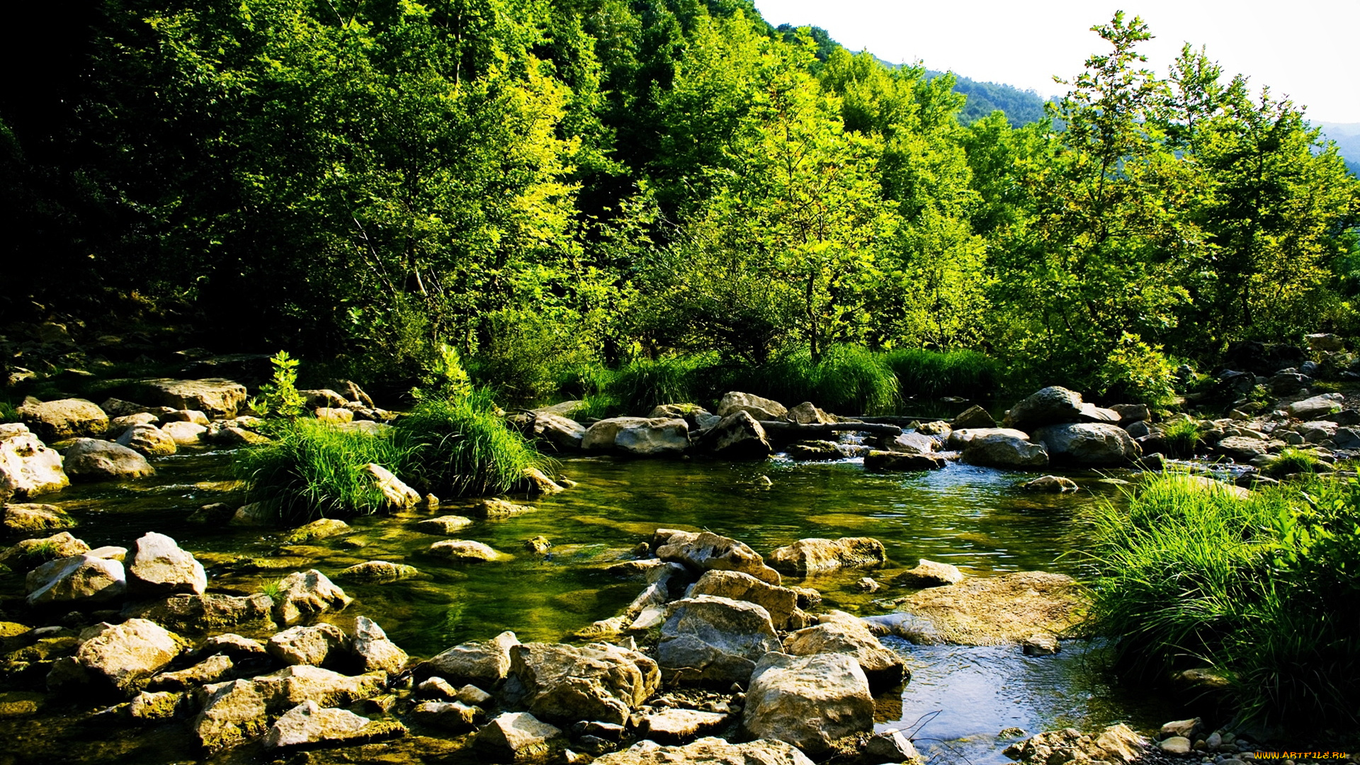 природа, реки, озера