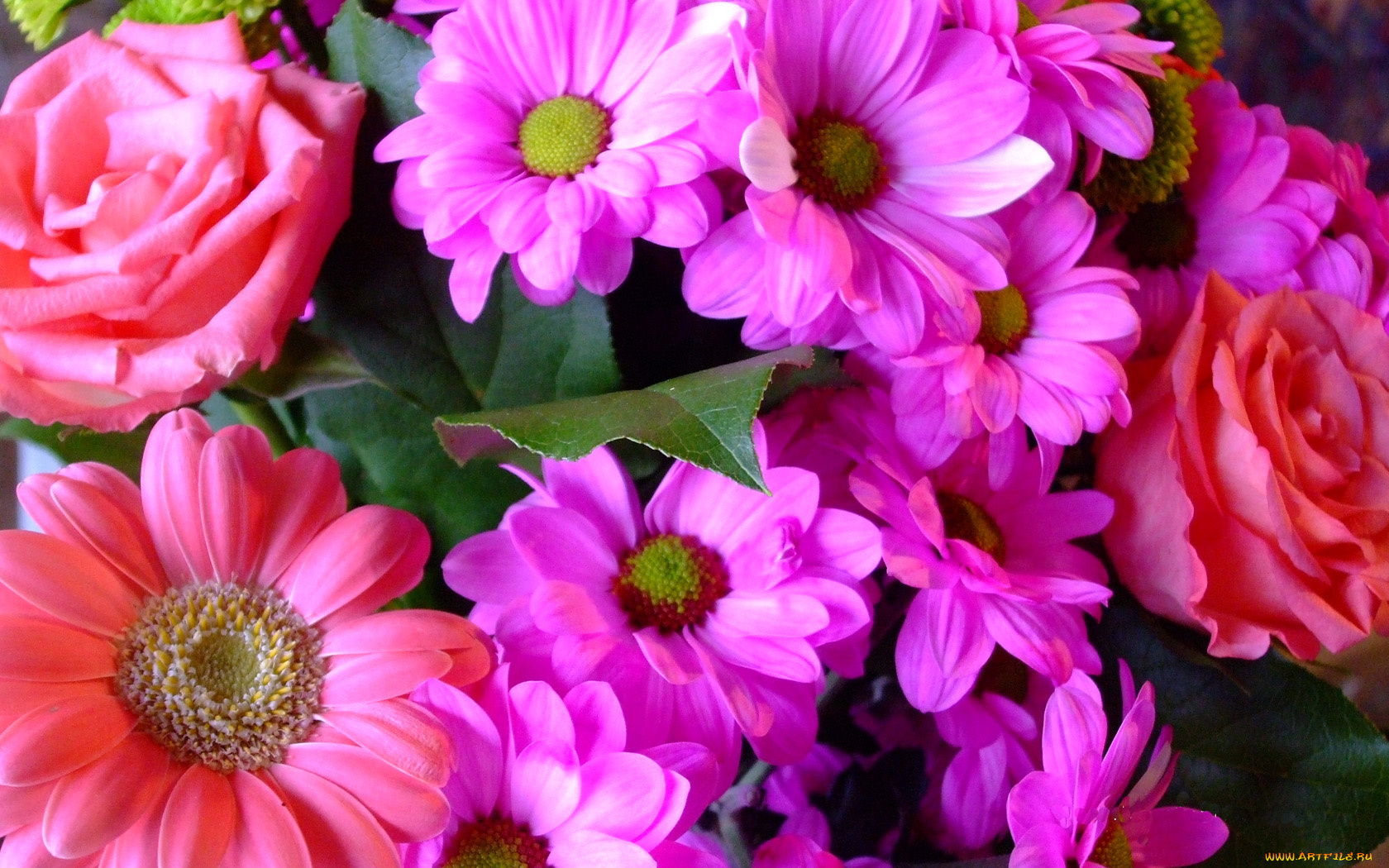 автор, ana, цветы, разные, вместе, розы, хризантемы