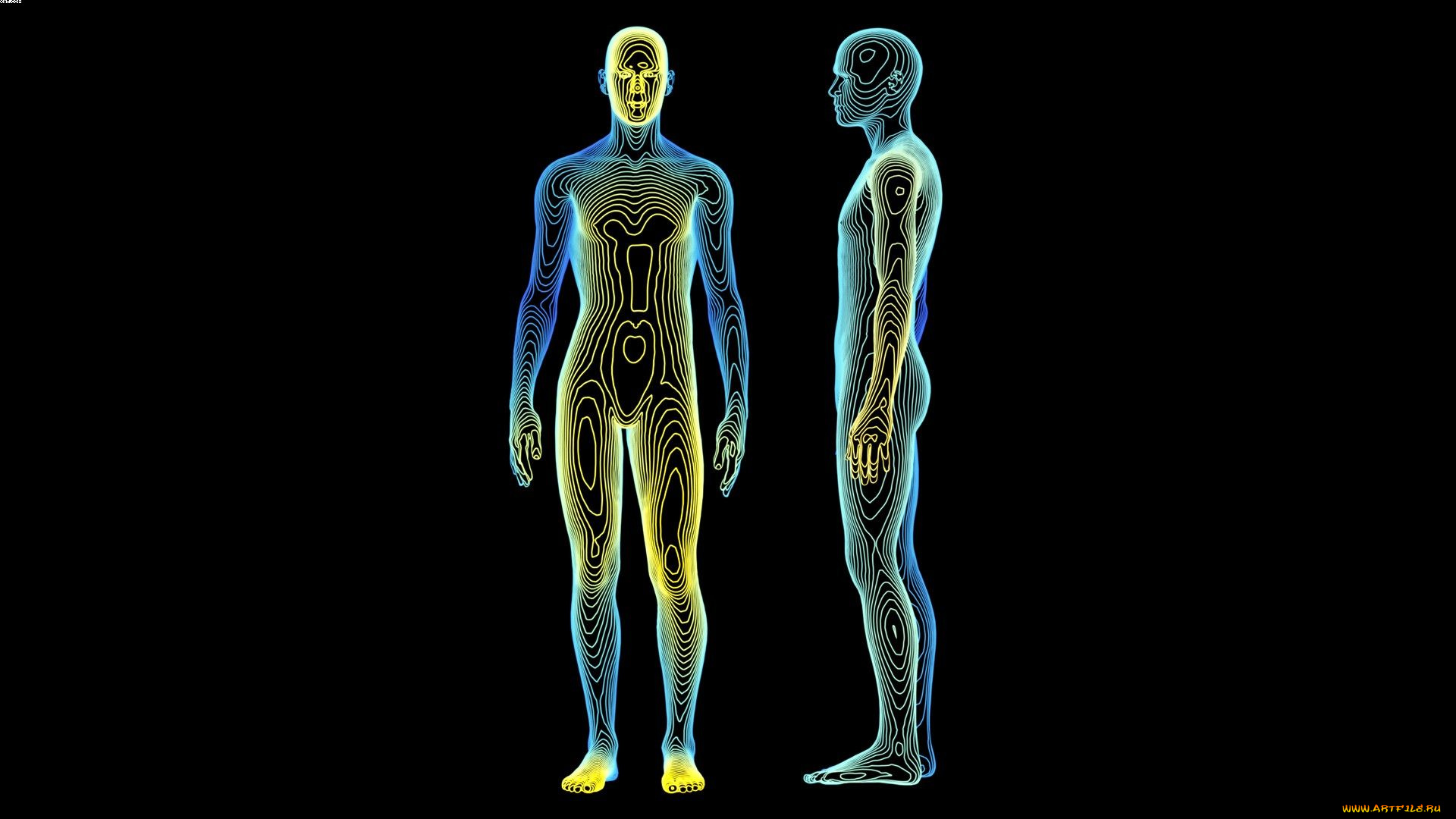 3д, графика, creatures, существа