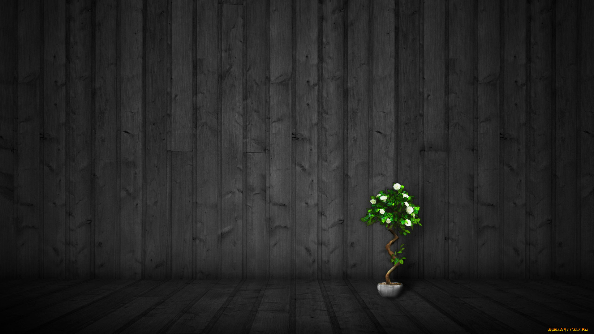 3д, графика, textures, текстуры, текстура