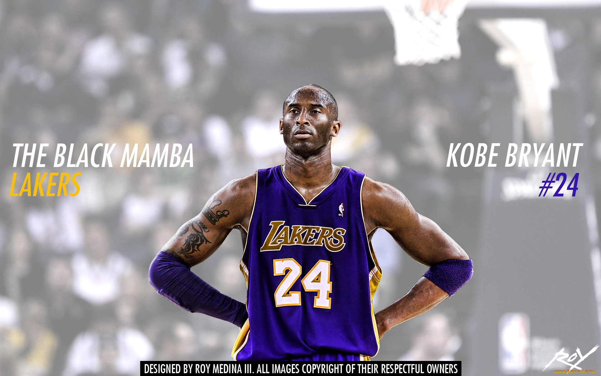 спорт, баскетбол