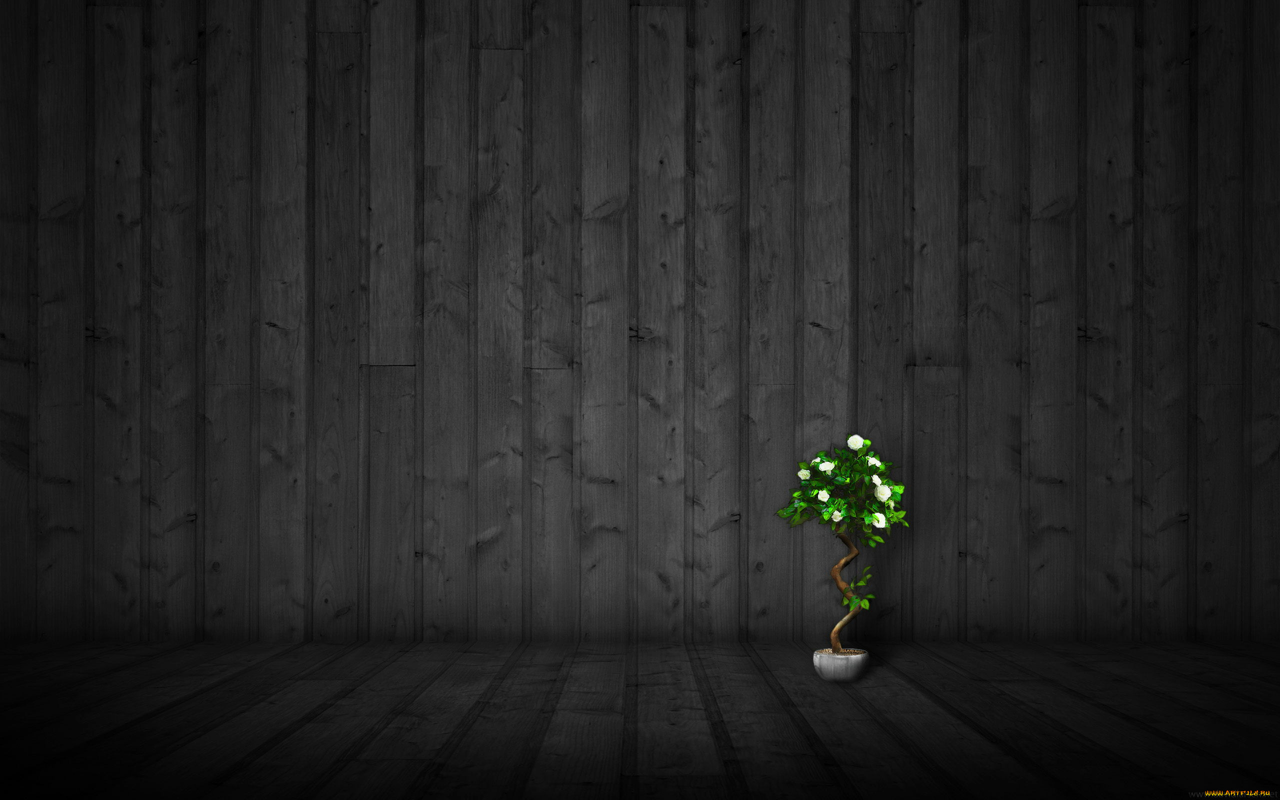 3д, графика, textures, текстуры, текстура