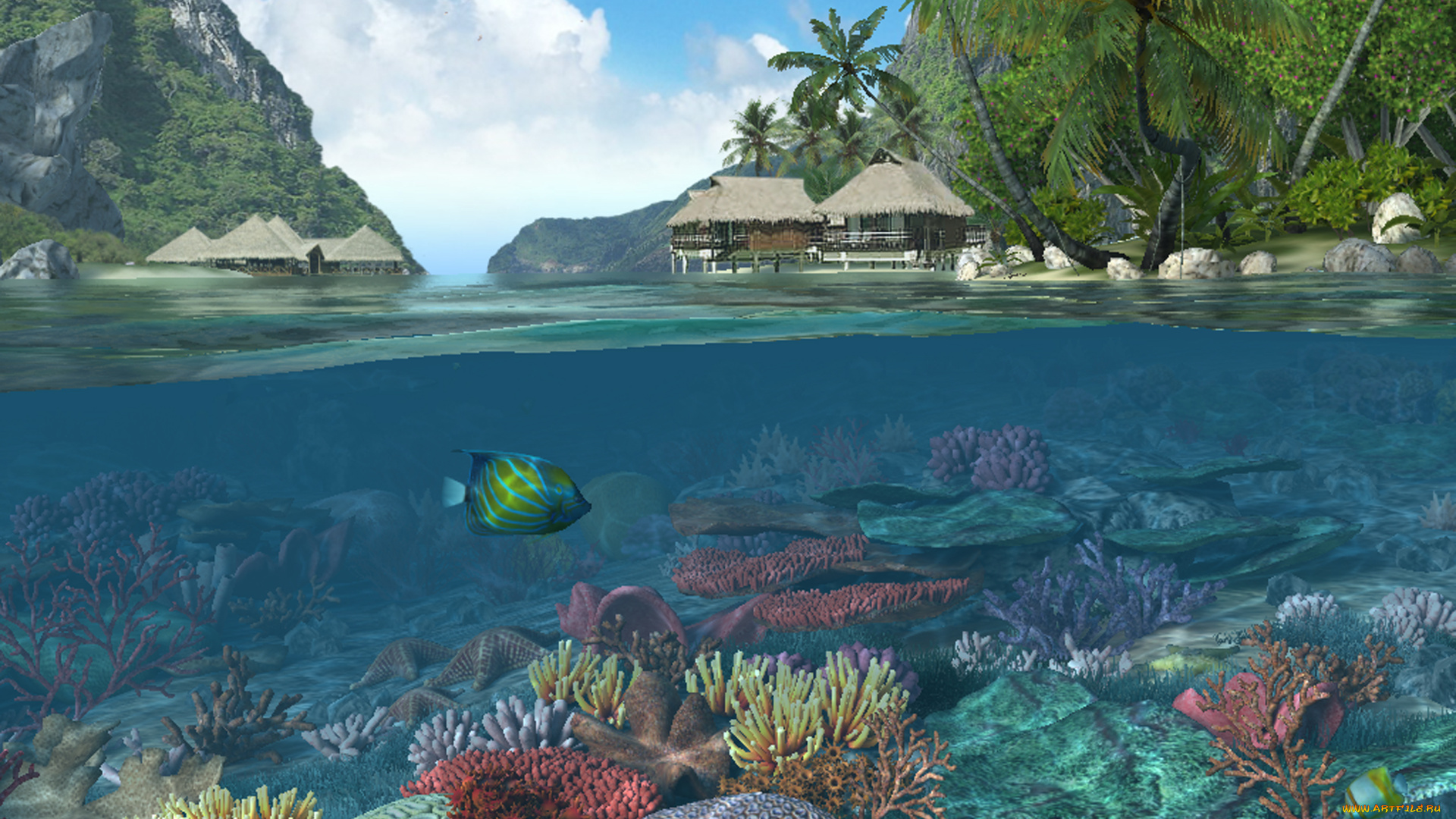 3д, графика, nature, landscape, природа, пейзаж, кораллы, море, пальмы