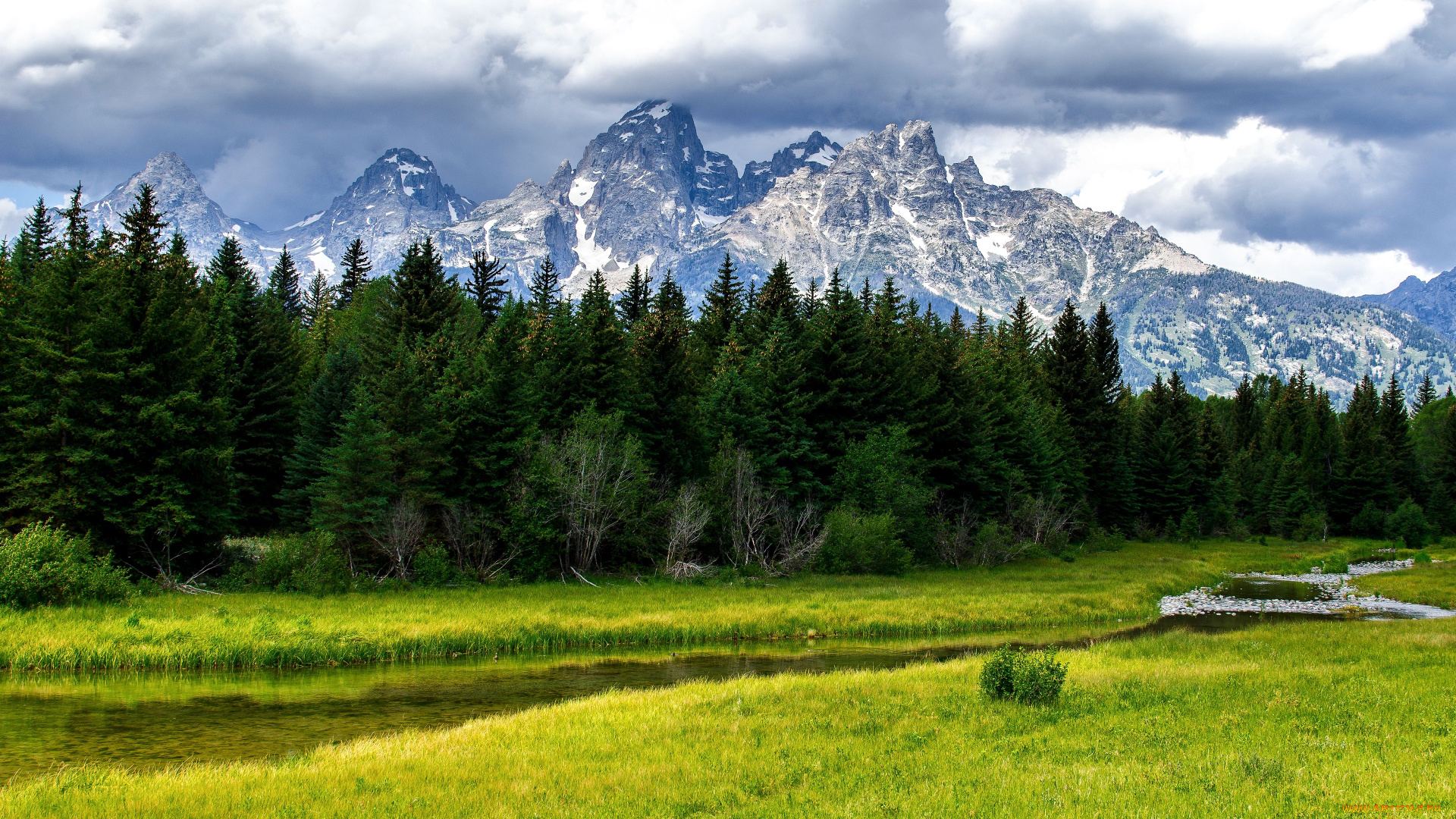 grand, teton, national, park, природа, пейзажи, горы, ручей, речка, лес, деревья