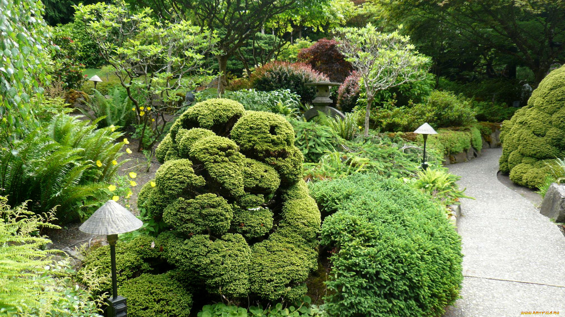 канада, брентвуд, бэй, japanese, garden, природа, парк, сад