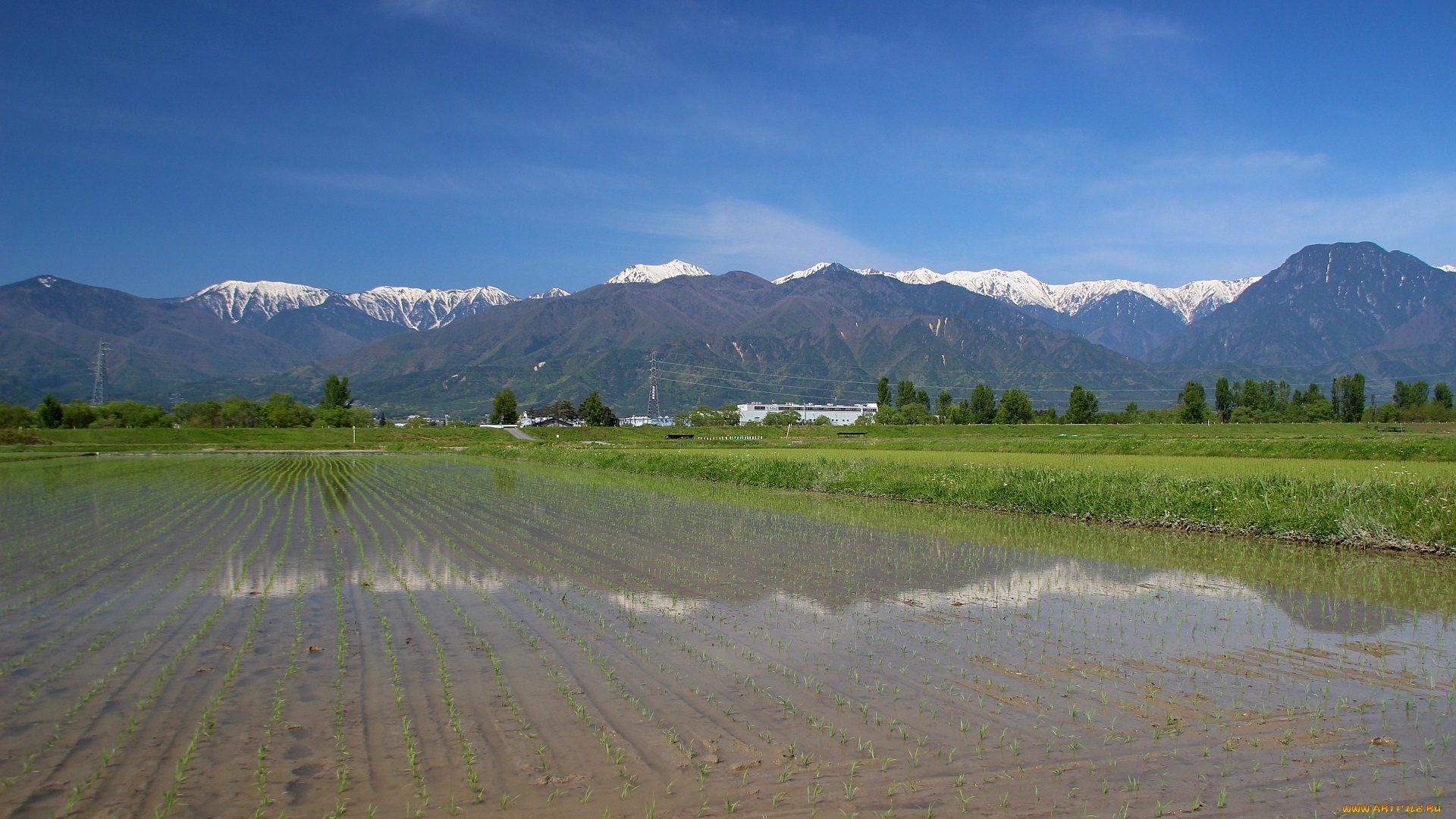 природа, поля, поле, рис, горы, вода