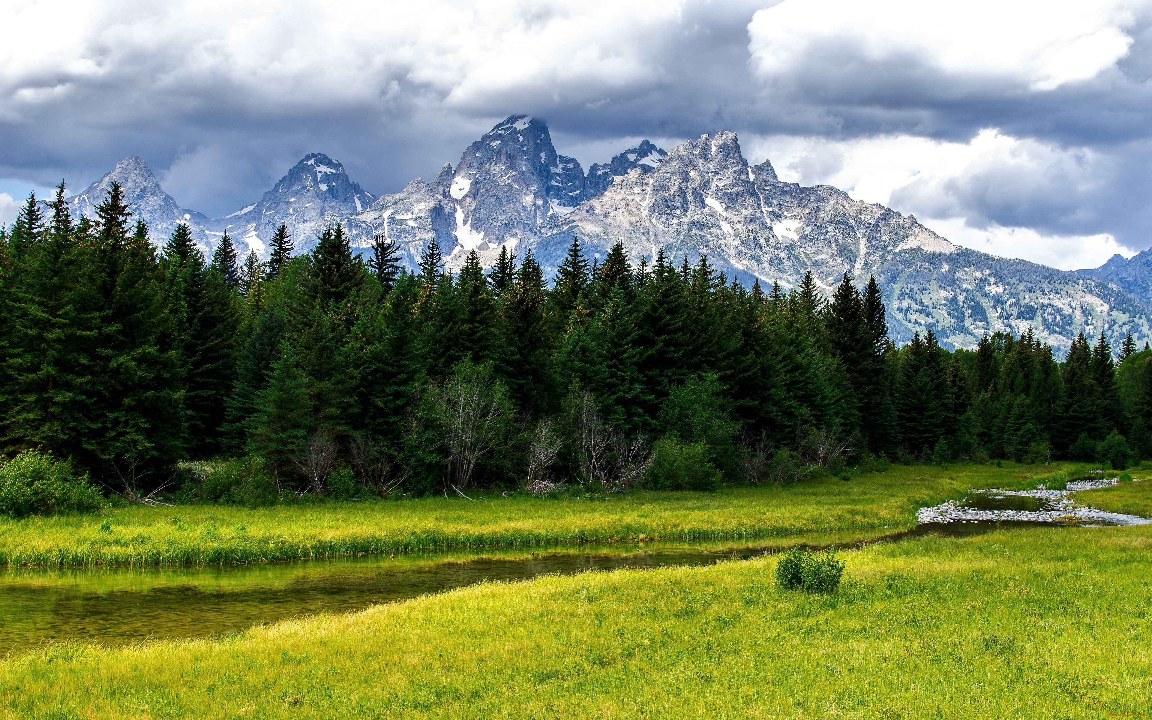grand, teton, national, park, природа, пейзажи, горы, ручей, речка, лес, деревья