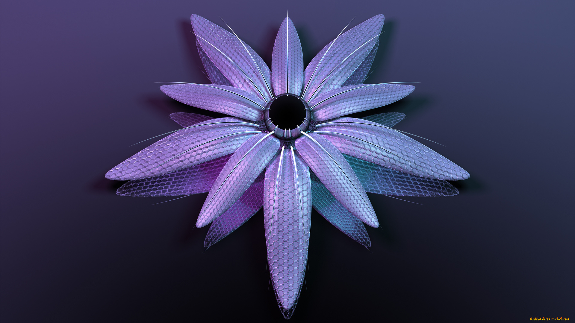 3д, графика, flowers, цветы, лепестки, фон