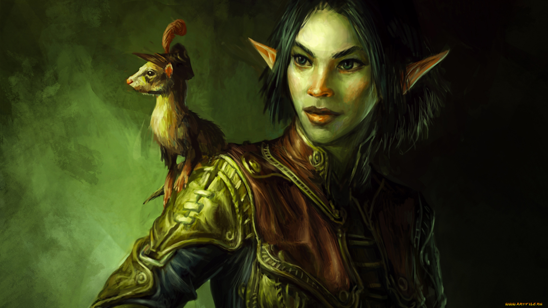 фэнтези, эльфы, хорек