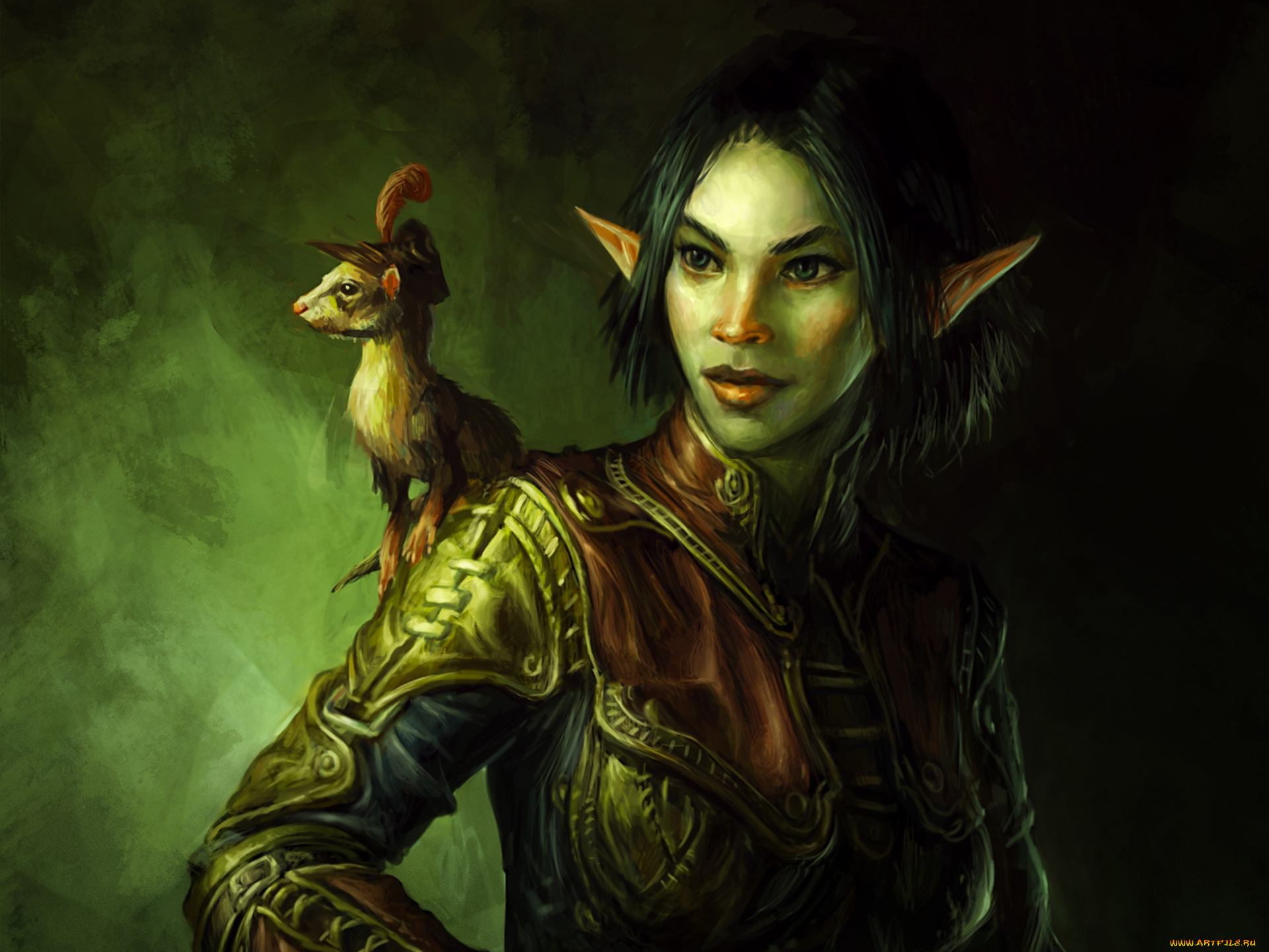 фэнтези, эльфы, хорек