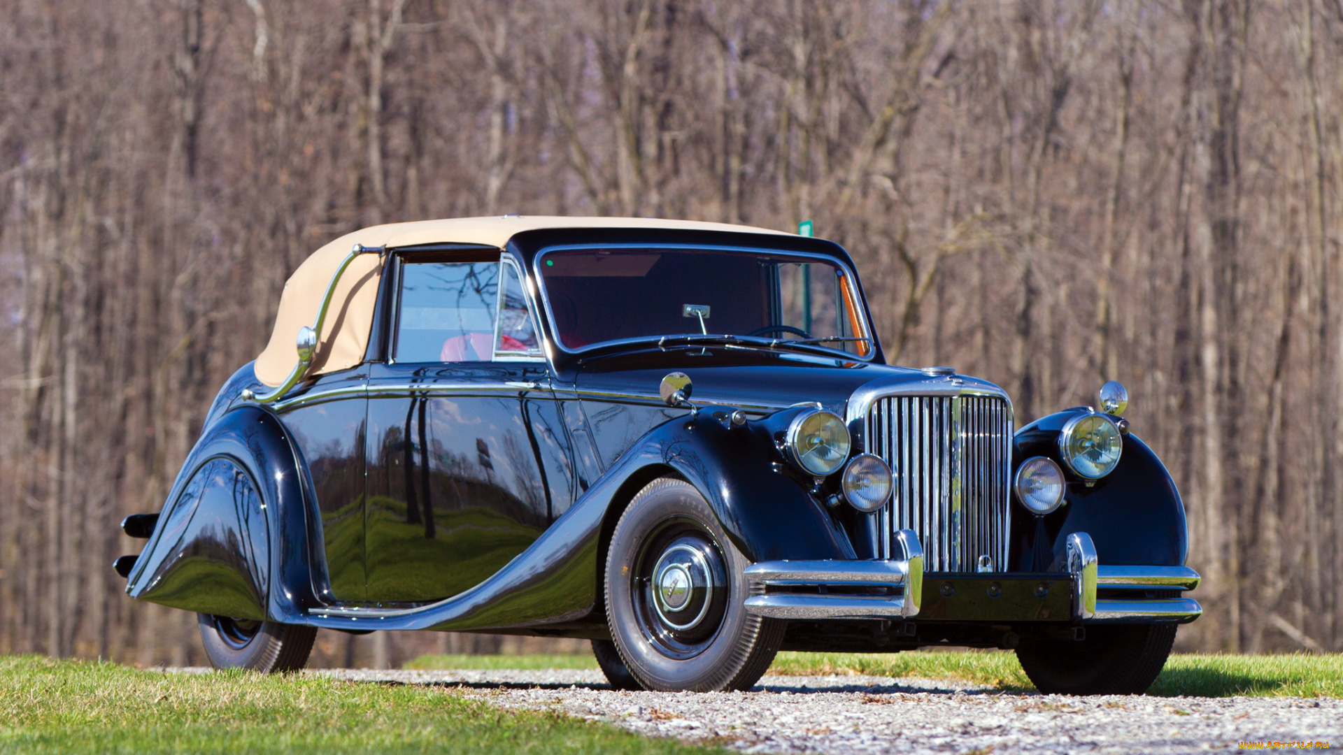 автомобили, классика, jaguar