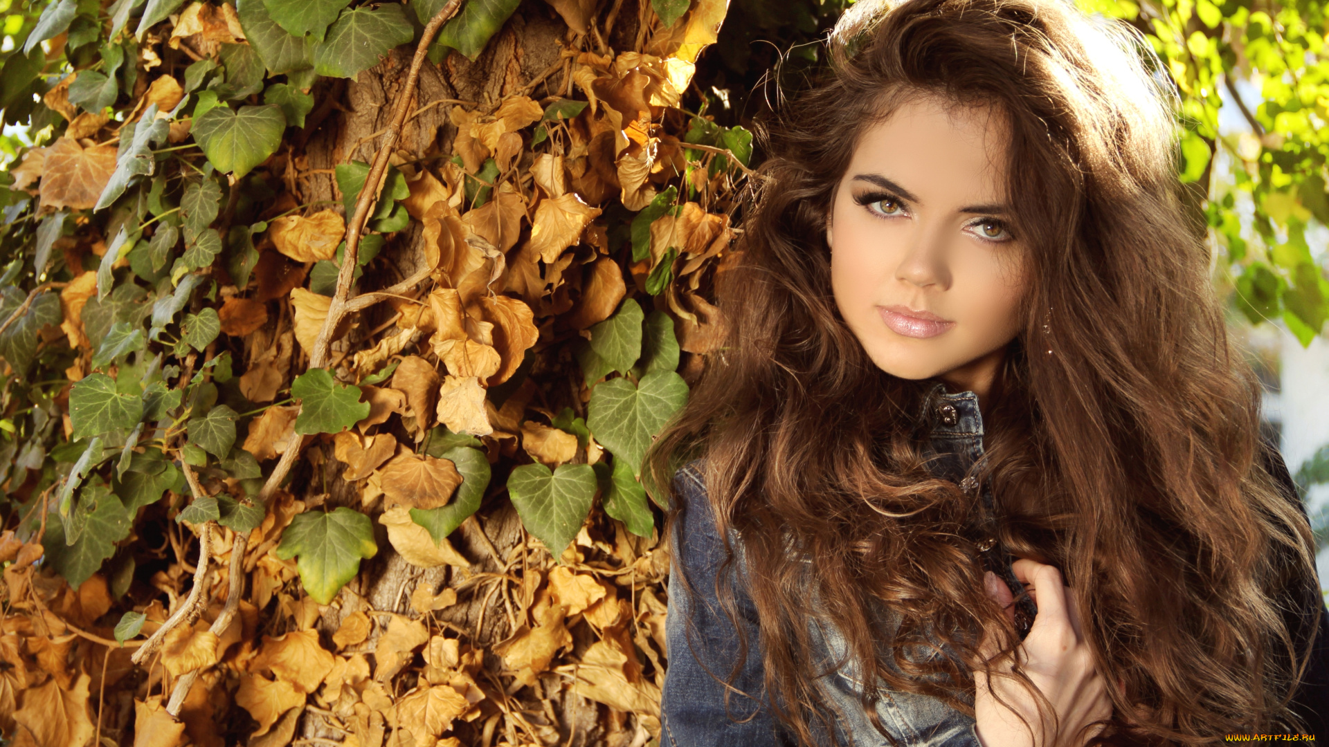 девушки, -unsort, , брюнетки, , шатенки, осень, волосы