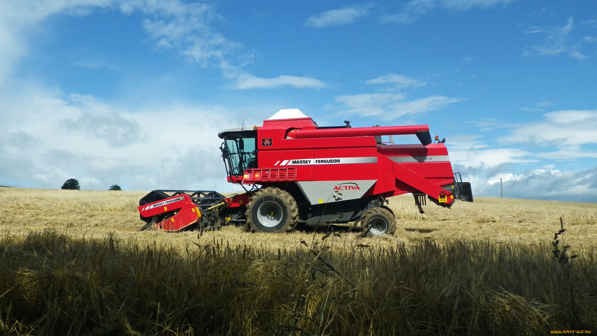 техника, комбайны, комбайн, поле