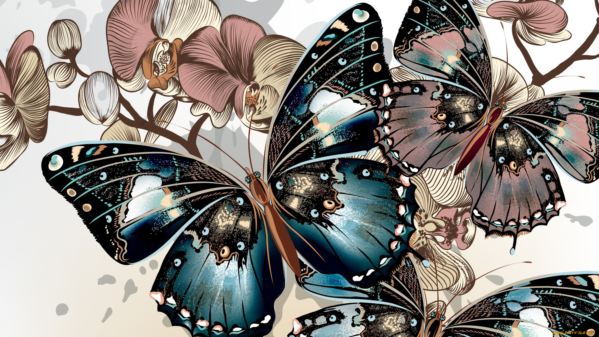 векторная, графика, животные, цветы, фон, цвета, окрас, крылья, орхидеи, бабочки