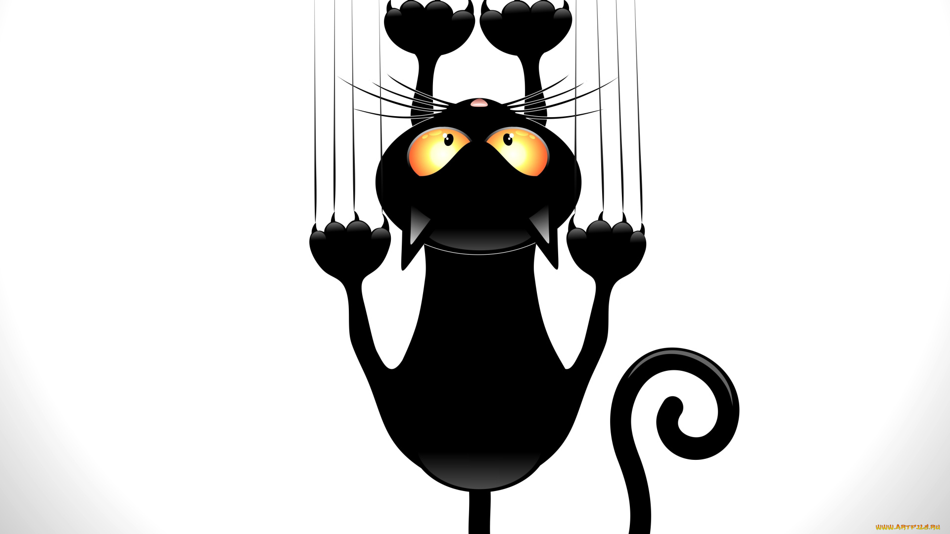 векторная, графика, животные, животное, хвост, черный, кот, когти, взгляд