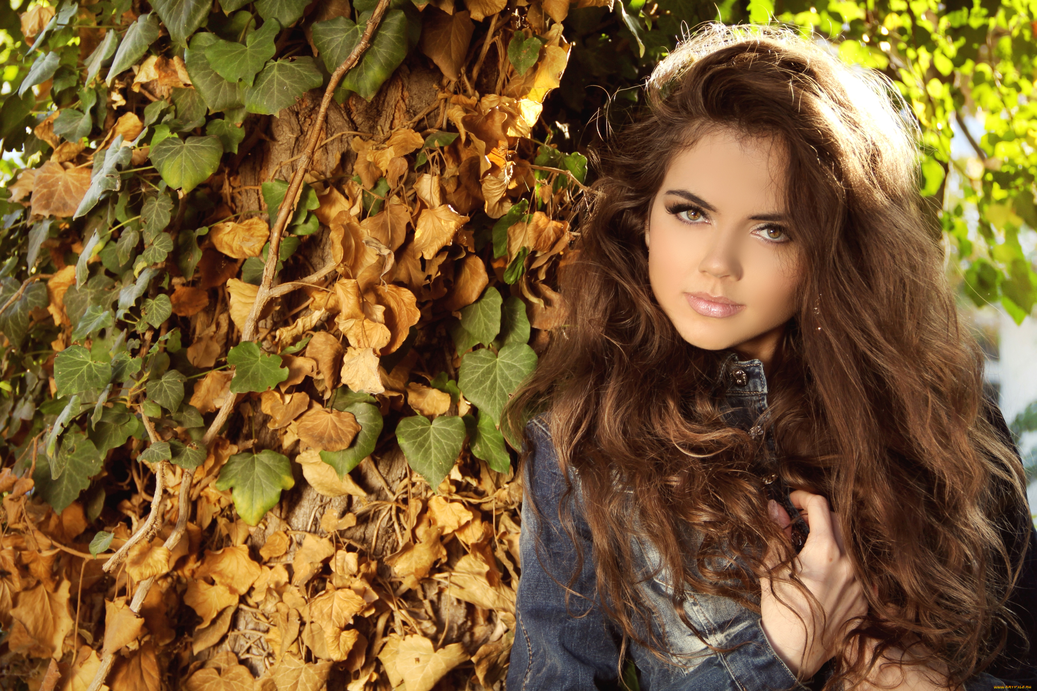 девушки, -unsort, , брюнетки, , шатенки, осень, волосы